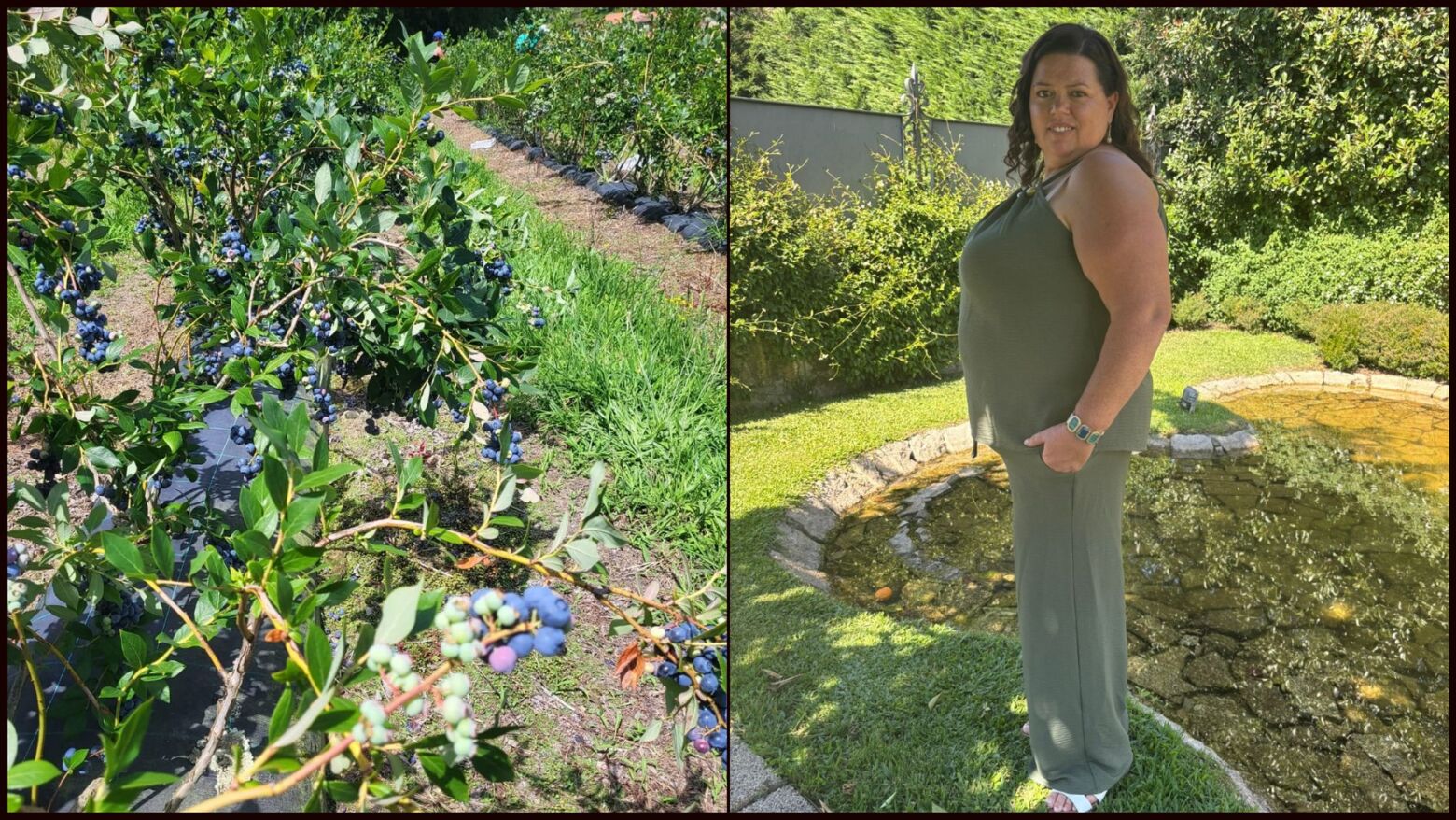 “Era calor e risotas”: A rotina da apanha do mirtilo em Sande pelos olhos de Marisa Alexandra