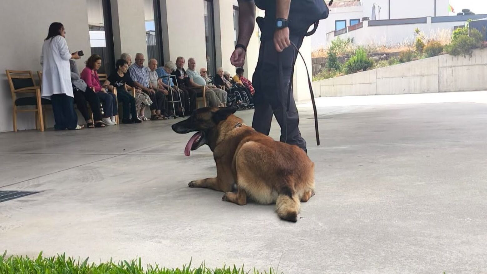 C&atilde;es da GNR conquistam 40 idosos em Cete numa iniciativa de apoio e proximidade &agrave; popula&ccedil;&atilde;o s&eacute;nior do concelho de Paredes