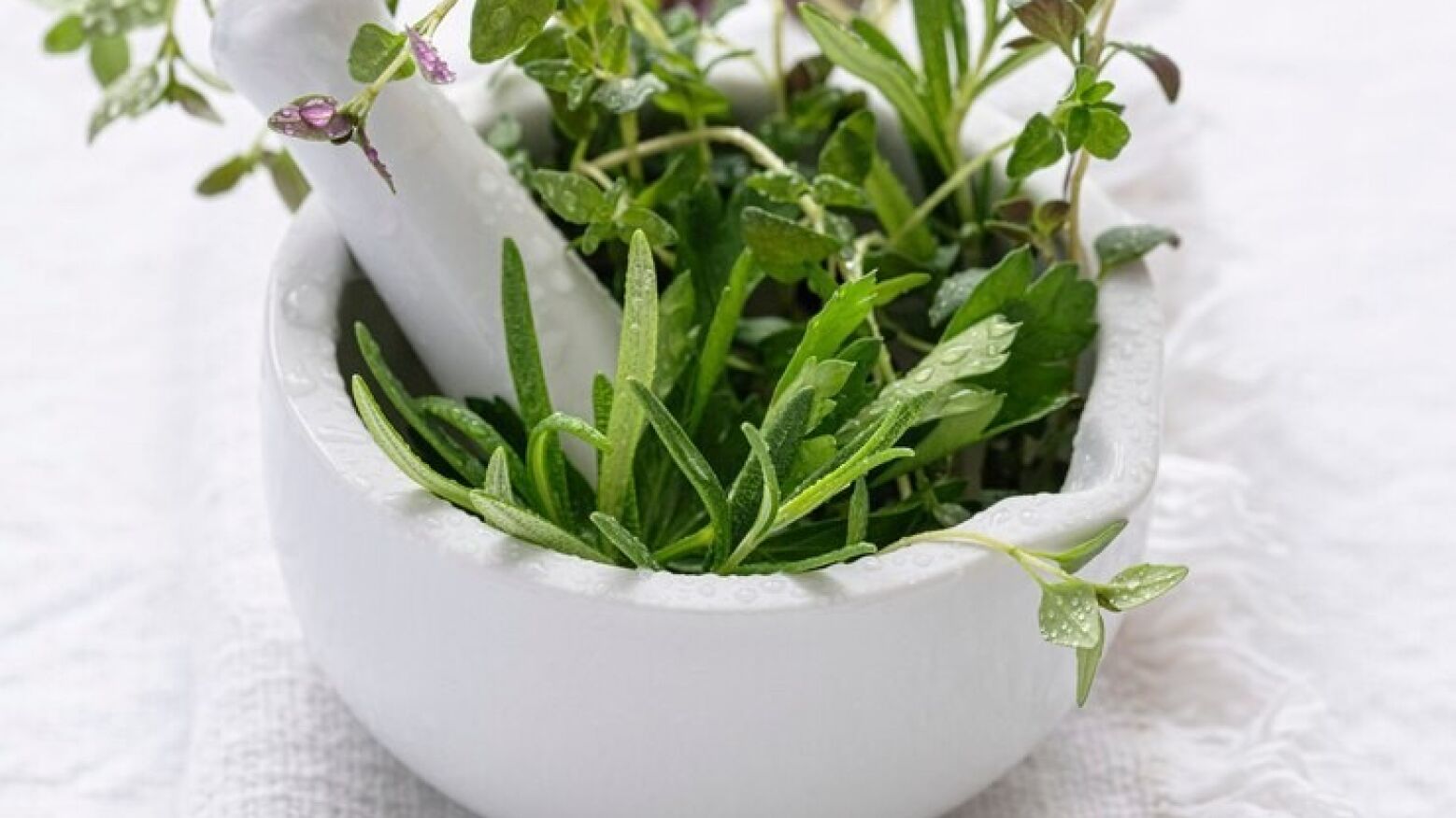 Celorico de Basto promove III Festa das Plantas Aromáticas e Medicinais