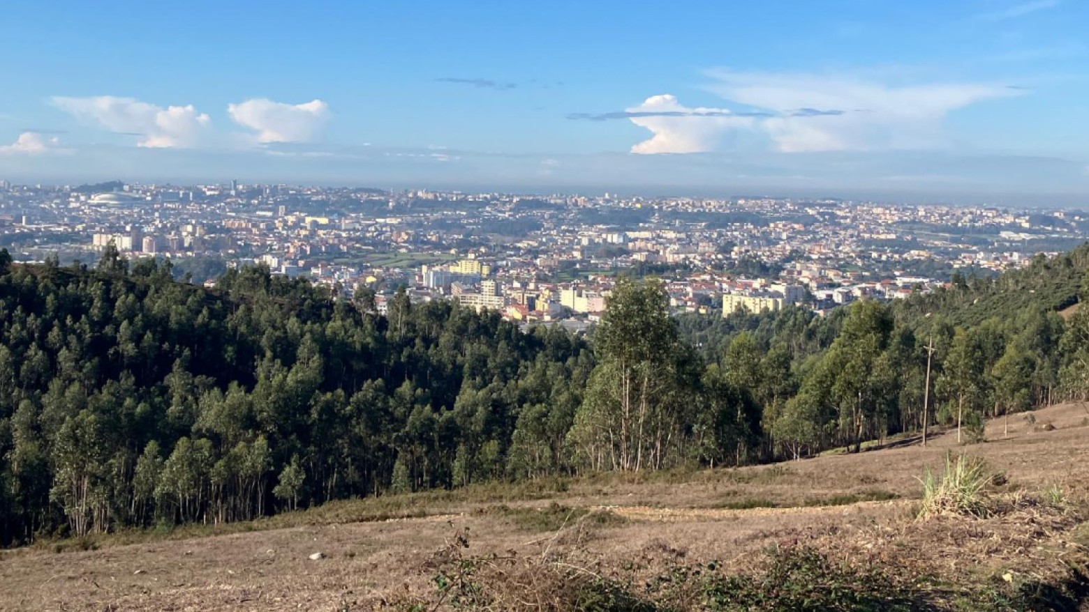 Parque das Serras do Porto investe na compra de 25 hectares em Valongo para conserva&ccedil;&atilde;o da natureza