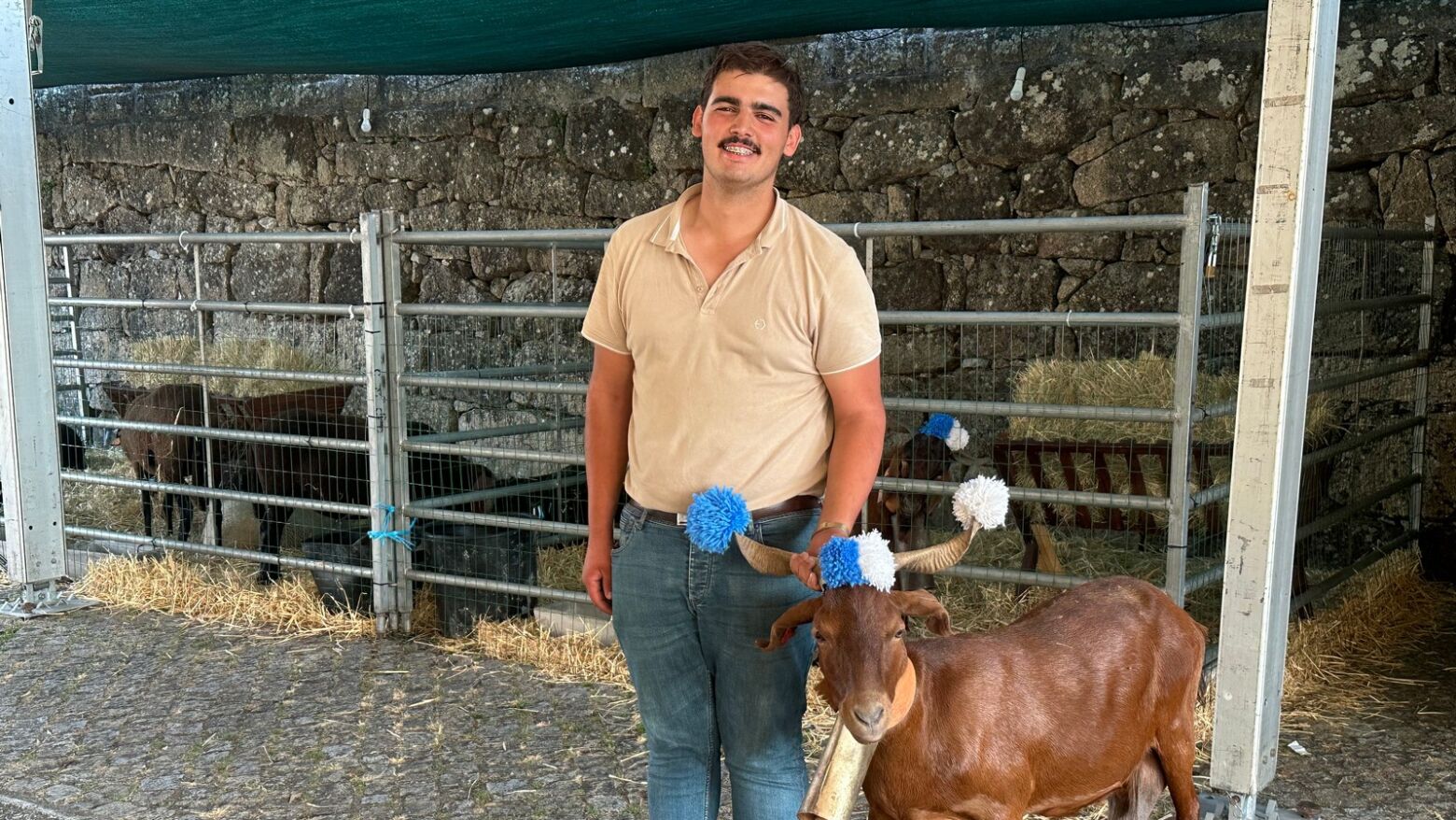 Pedro Silva tem 19 anos e é criador de cabras e ovelhas em Cinfães