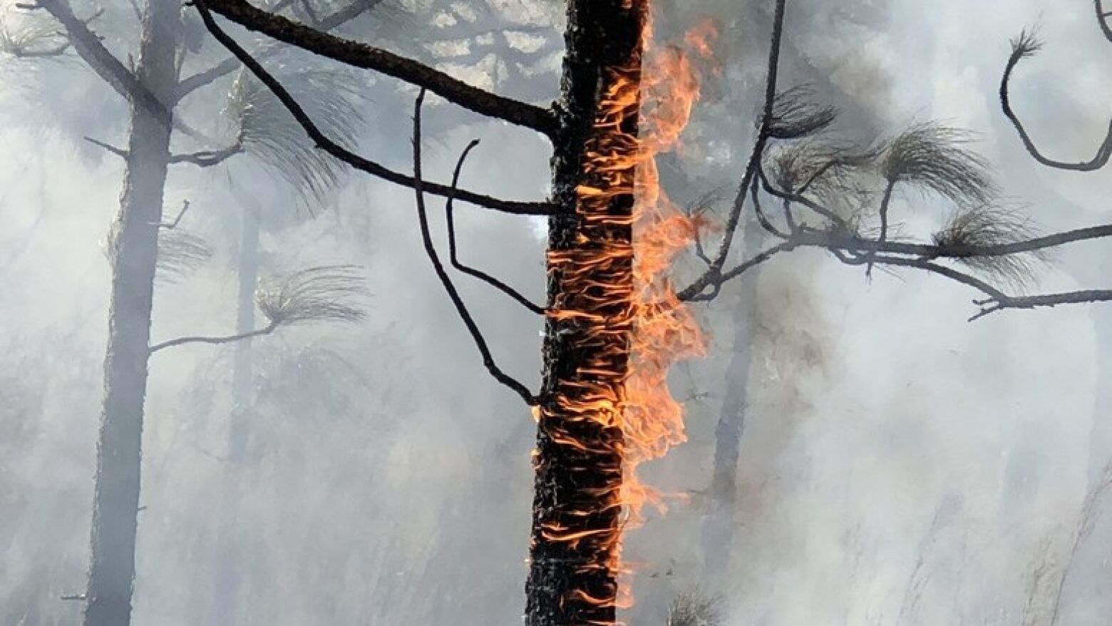 Incêndio de grandes proporções lavra no concelho de Penafiel 