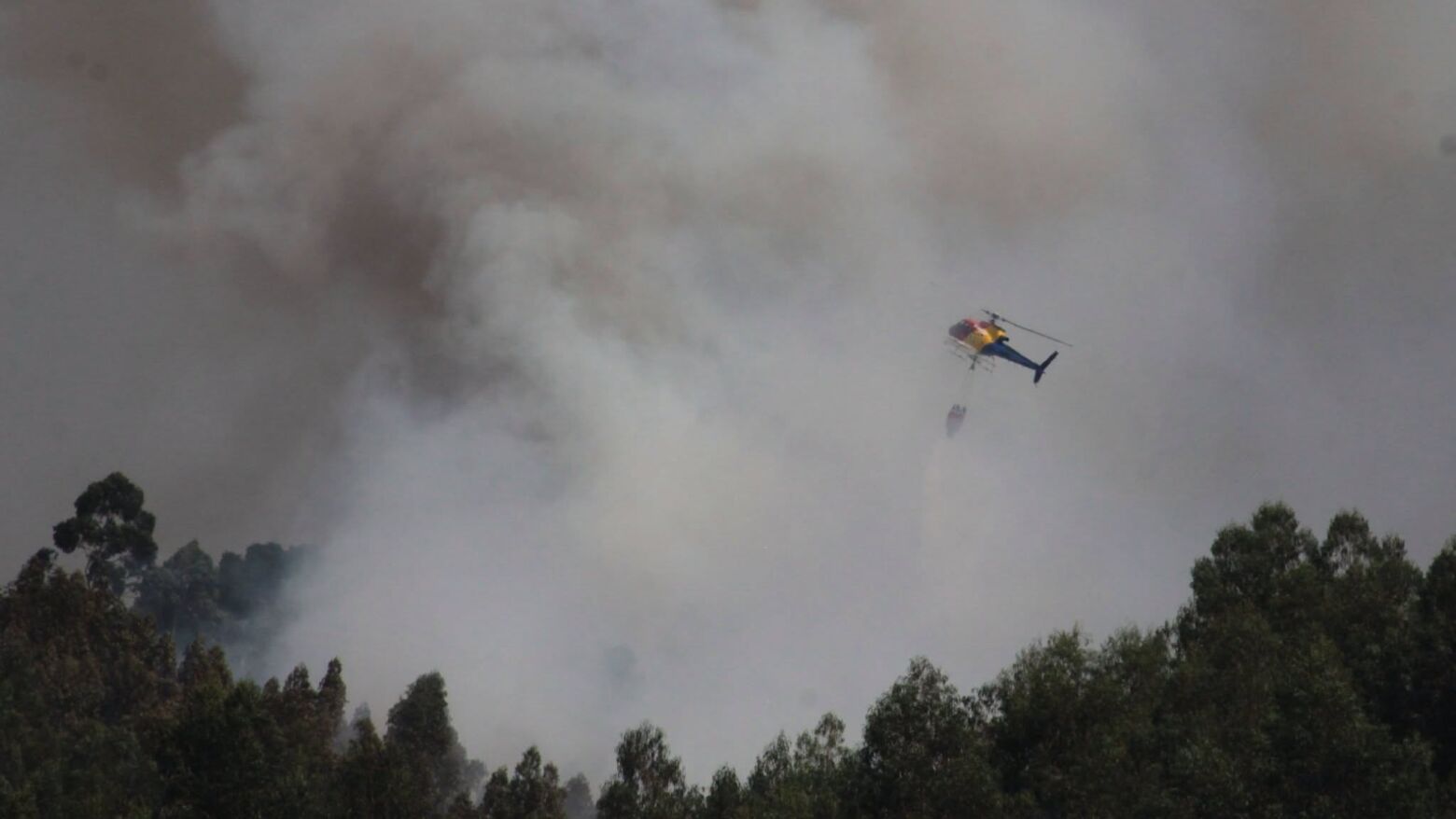 Paredes: Inc&ecirc;ndio de mato em Rebordosa mobilizou 55 operacionais e dez viaturas