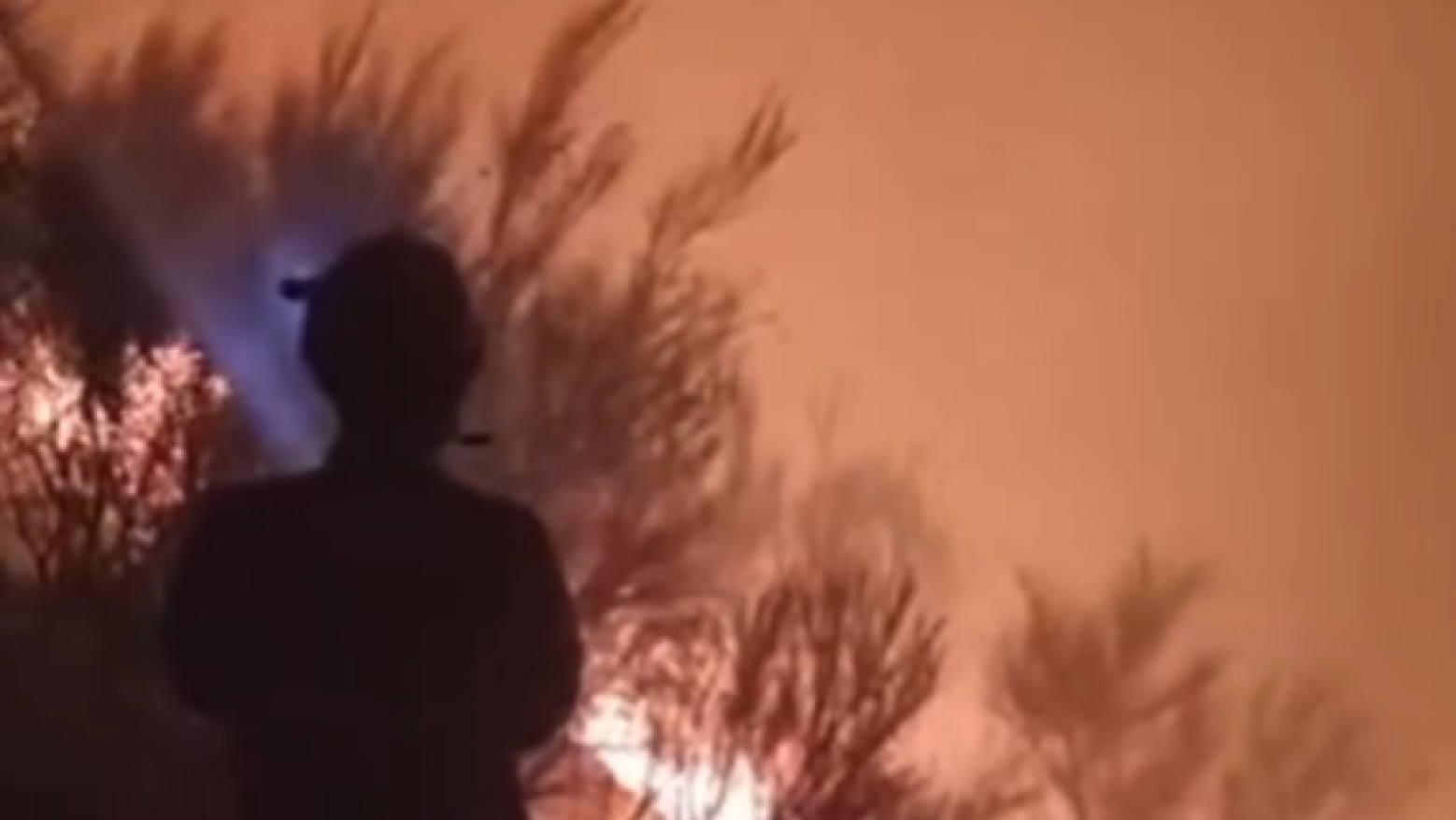 130 bombeiros estão a combater um incêndio de grandes dimensões em Cinfães