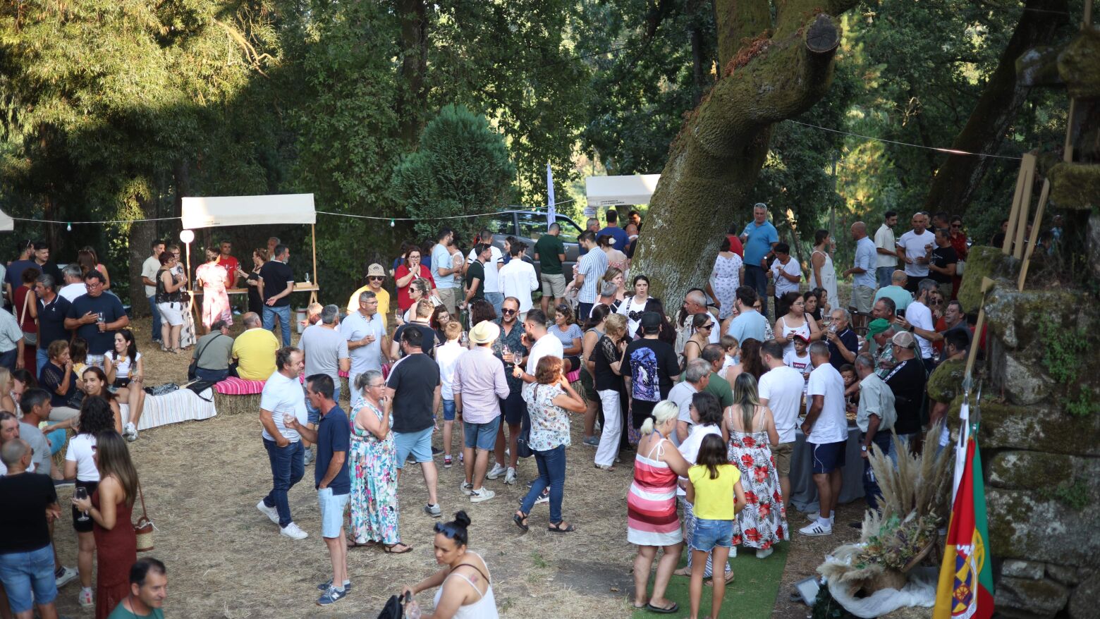 Mais de 500 copos vendidos na Prova de Vinhos da Vilartes em Marco de Canaveses: "Foi um sucesso"