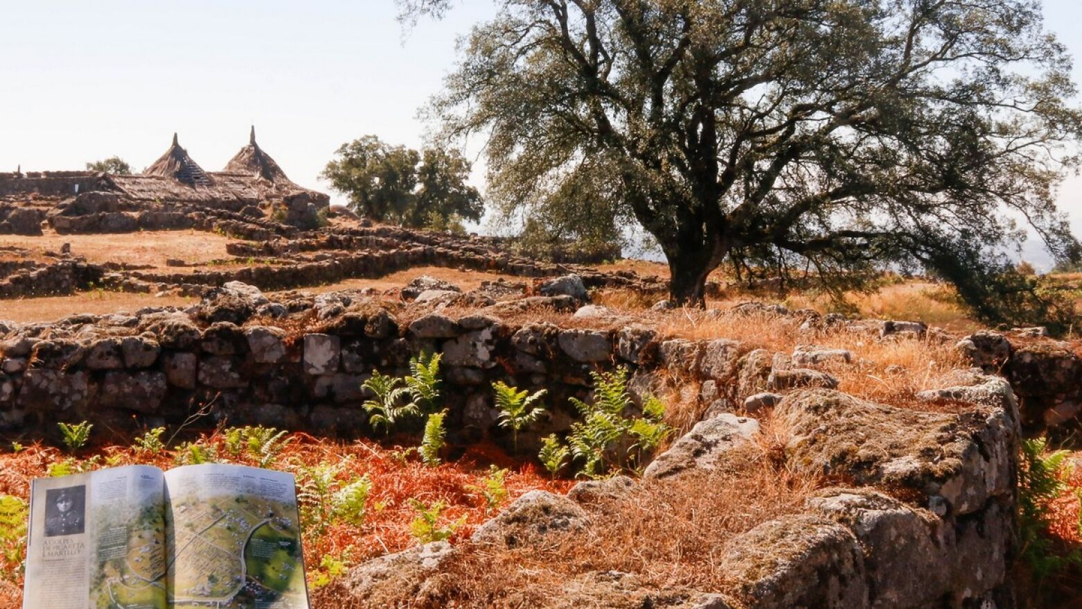 Citânia de Sanfins em destaque na National Geographic Portugal