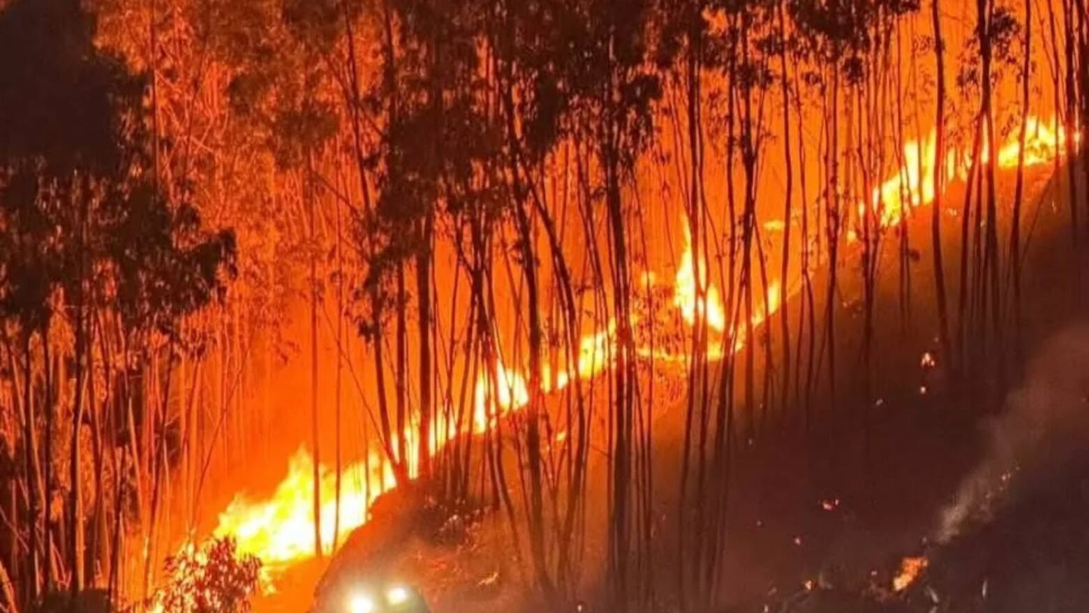 Governo declara situação de alerta devido ao risco de incêndios entre 3 e 7 de agosto