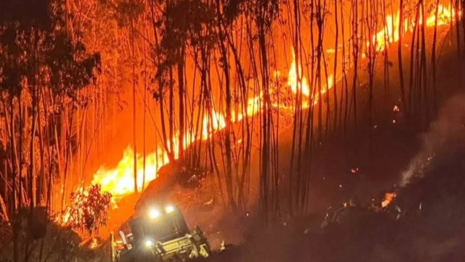Incêndio em Arouca dominado após quatro dias de combate