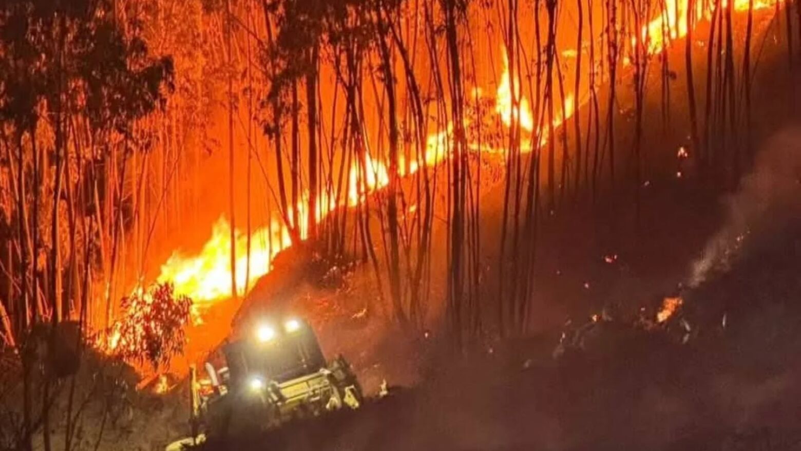 Incêndio em Arouca estabilizado, mas com reacendimentos: Proteção Civil apela à vigilância da população