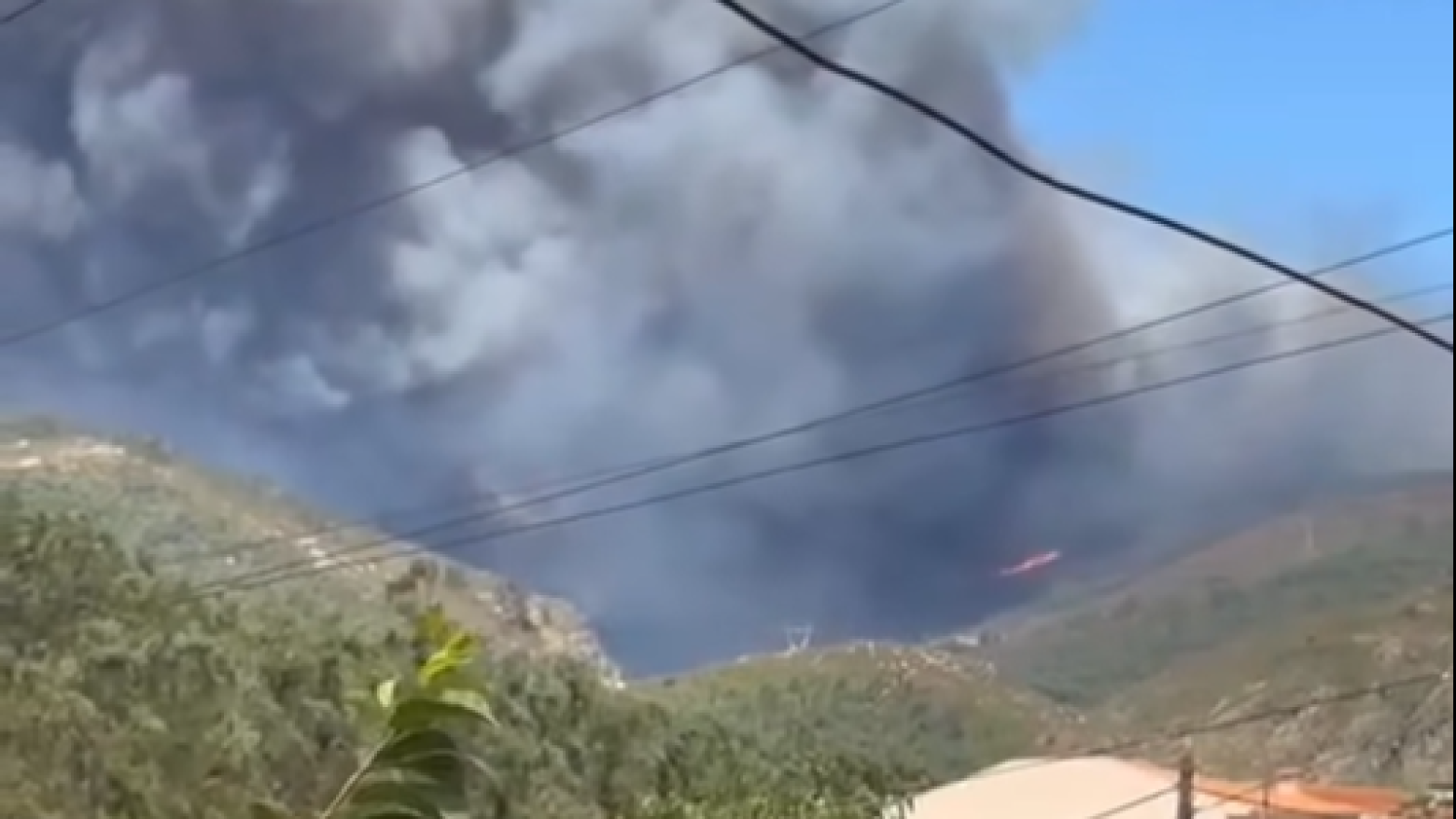 Incêndios em Penafiel continuam ativos. Bombeiros estão a "tentar resolver a situação" o mais rapidamente possível