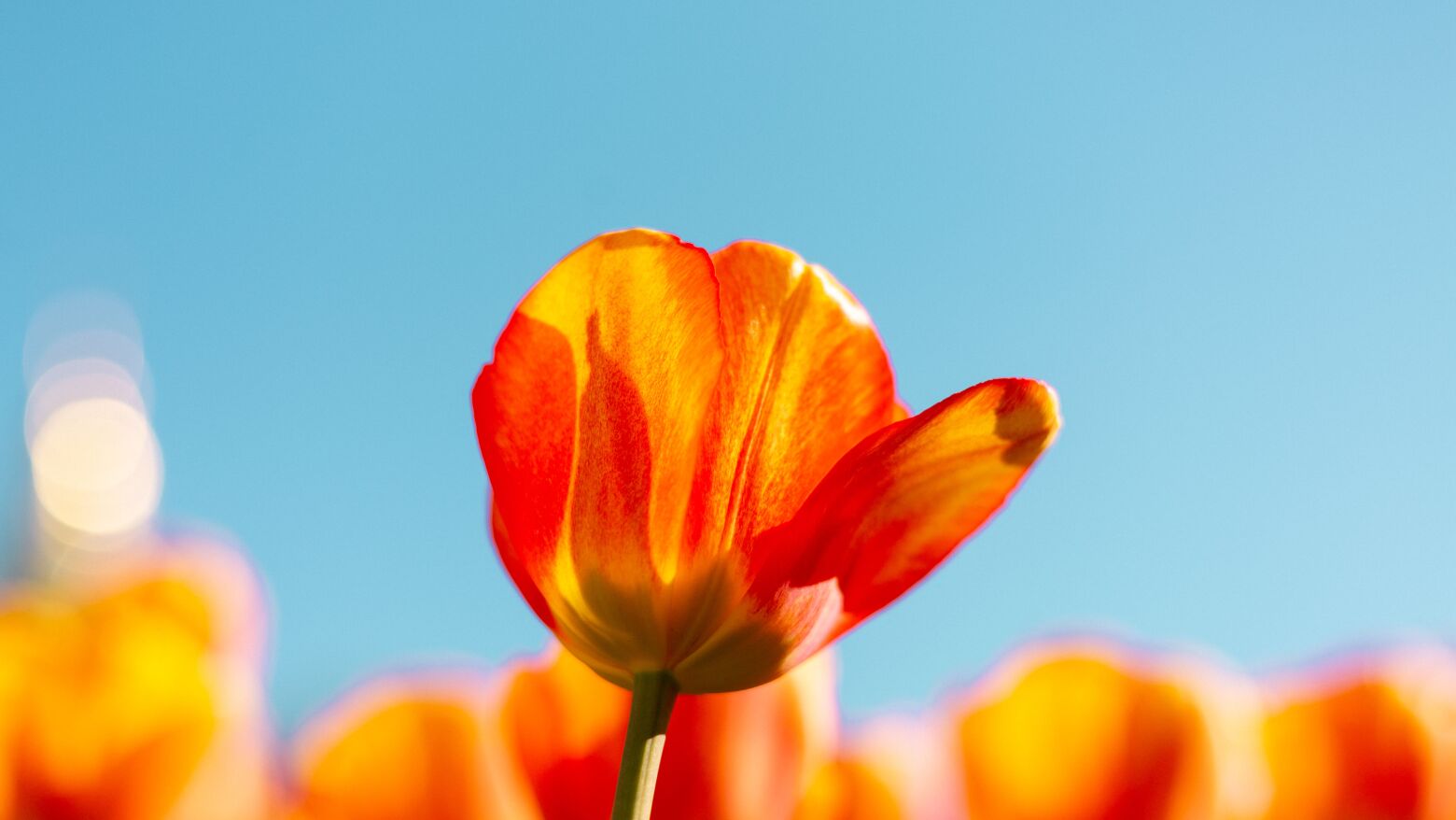 Grande Porto: Temperatura m&aacute;xima sobe este domingo, mas tarde pode trazer aguaceiros