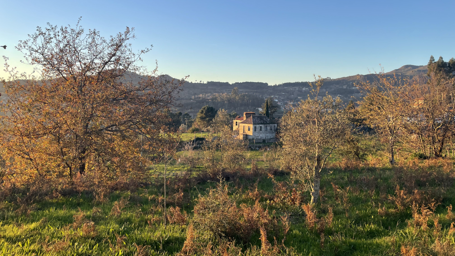 Casa do Agrêlo revela tesouro documental de seis séculos no coração do Marco de Canaveses