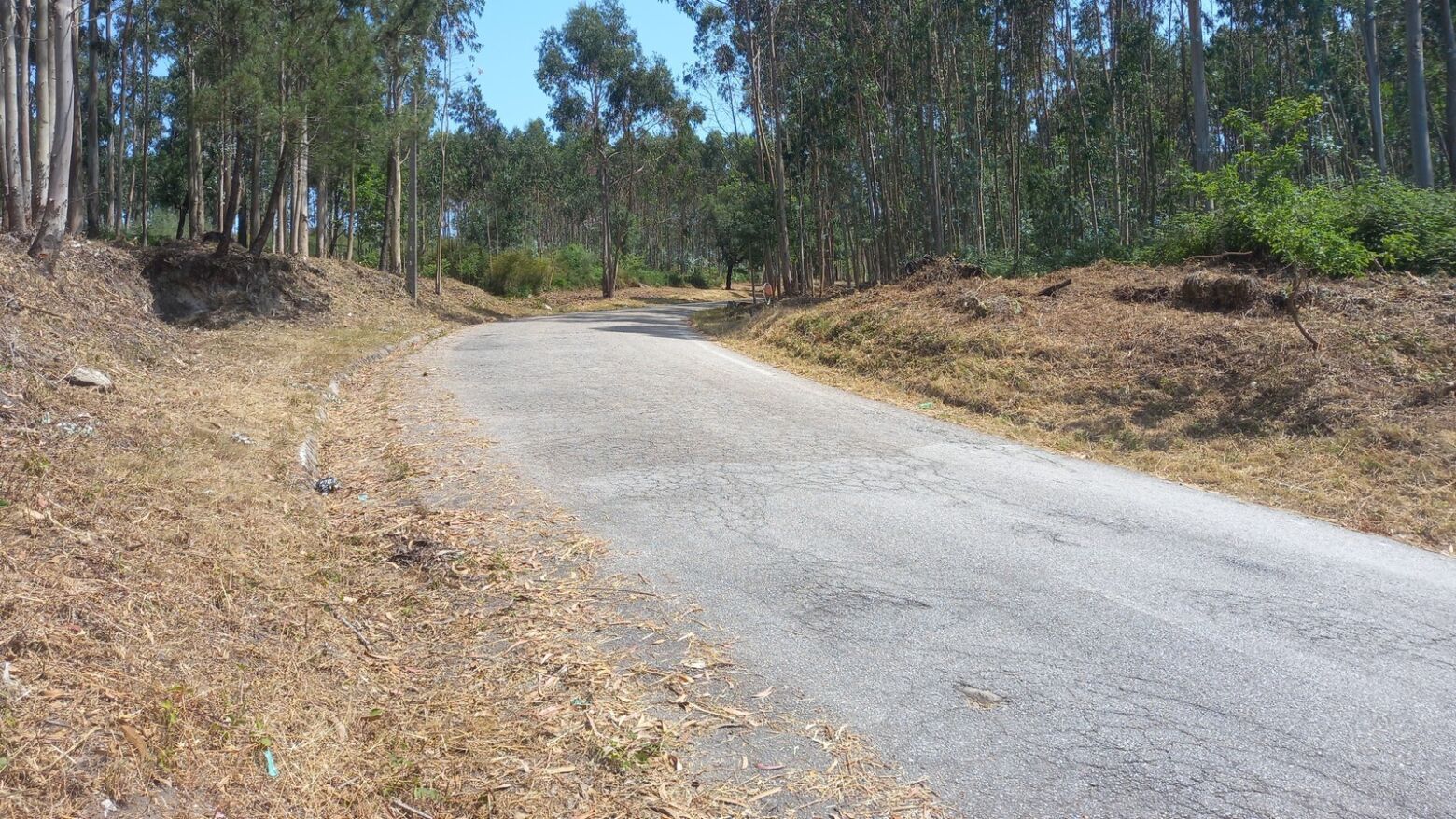 Município de Paços de Ferreira conclui trabalhos de limpeza de vegetação e criação de faixas de proteção nas vias municipais