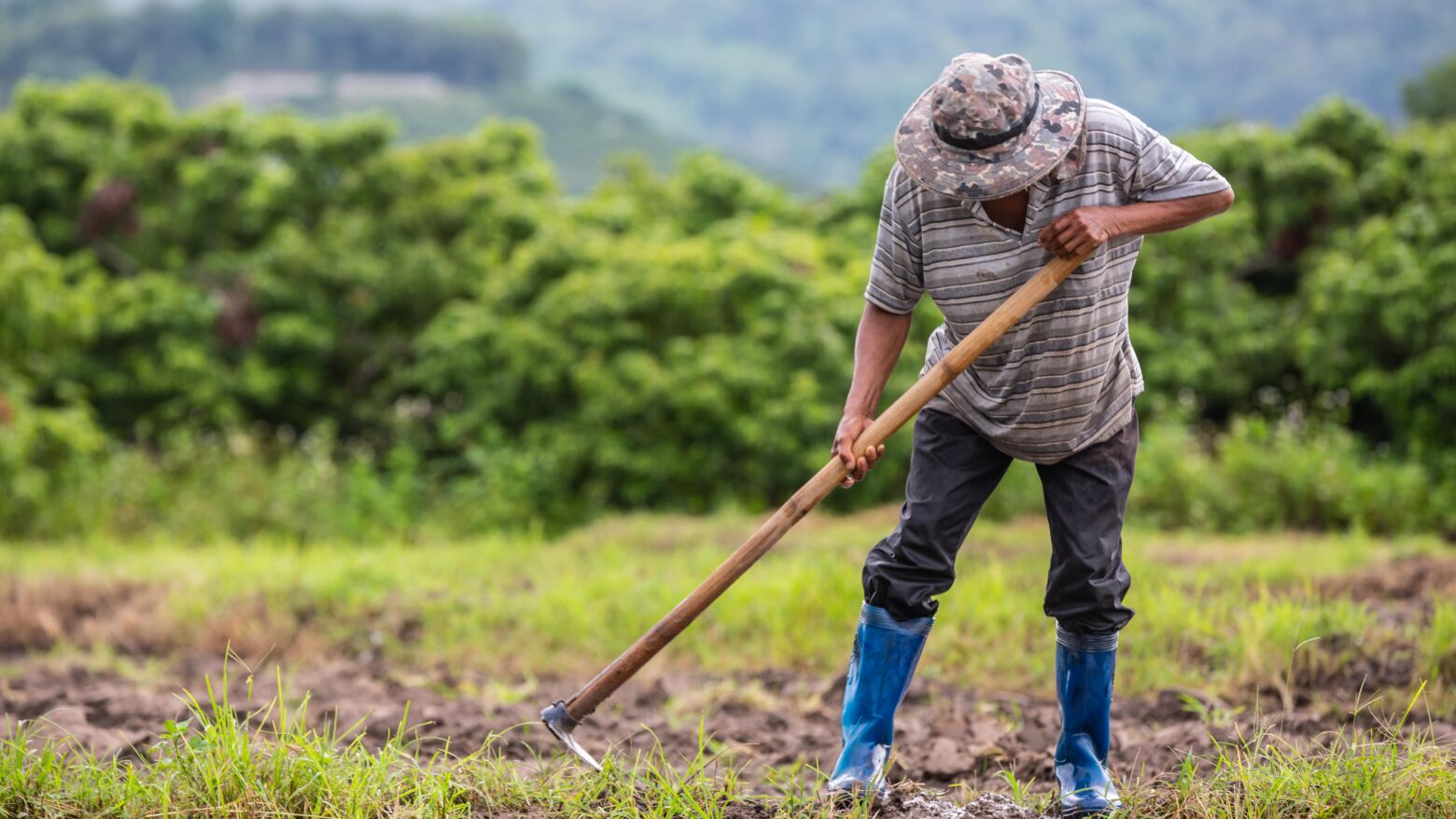 Governo garante pagamento de apoios aos agricultores afetados pelos incêndios já na próxima semana