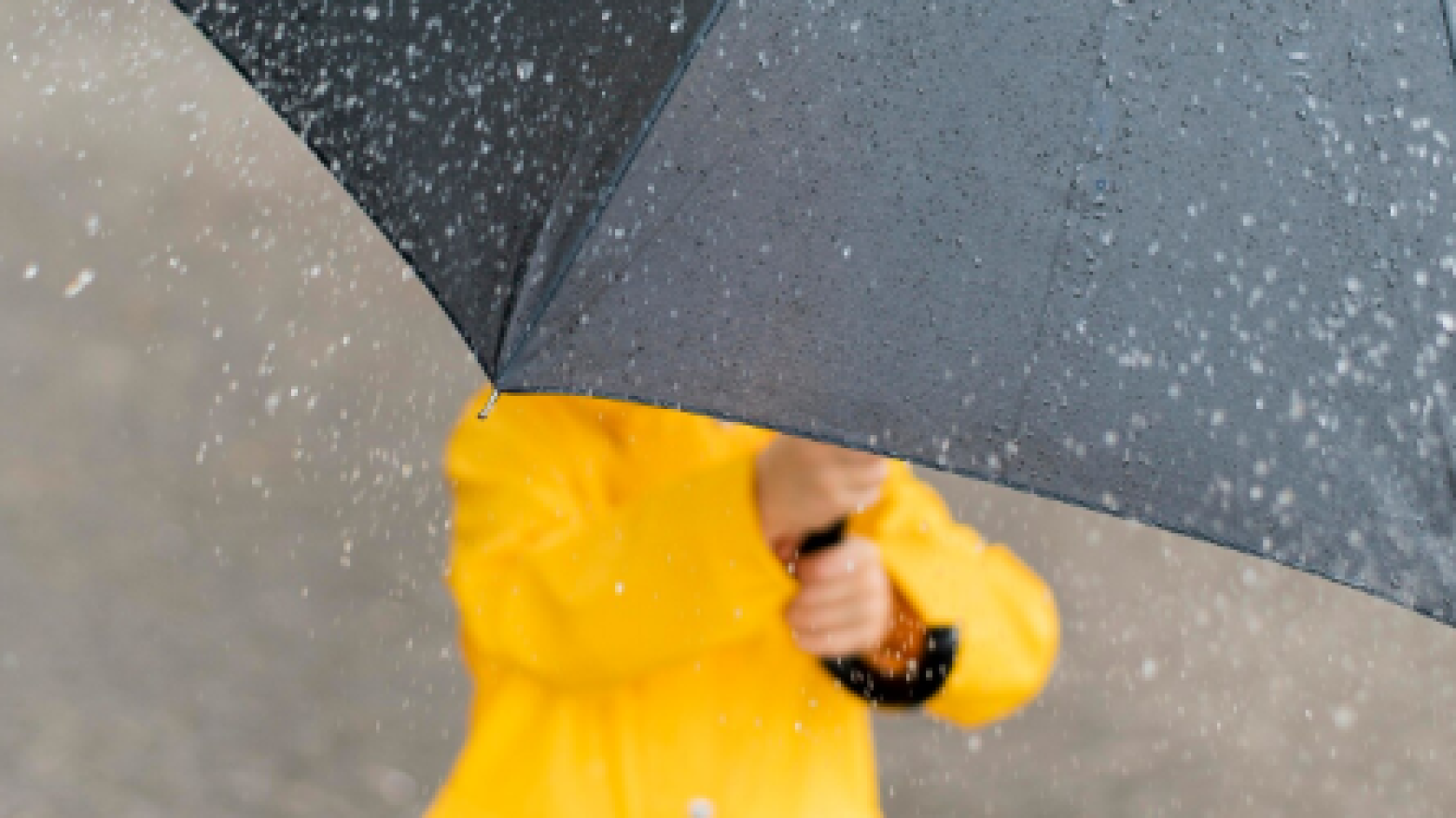 Terça-feira com aguaceiros e trovoada no interior sul, com subida ligeira da temperatura