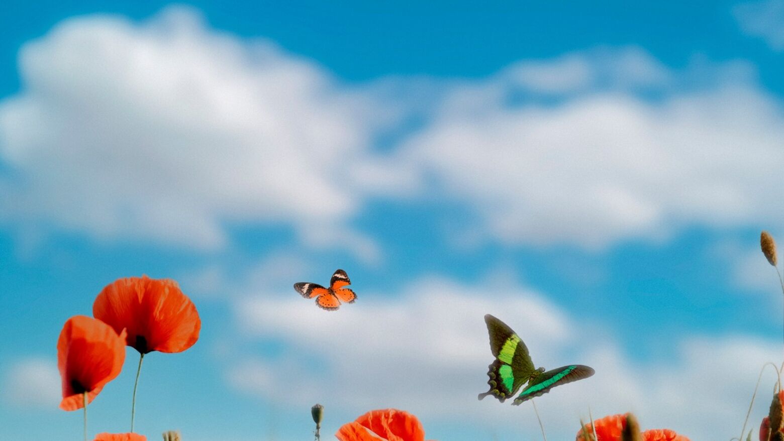 Grande Porto: Sexta-feira de c&eacute;u limpo e ligeira subida da temperatura m&aacute;xima