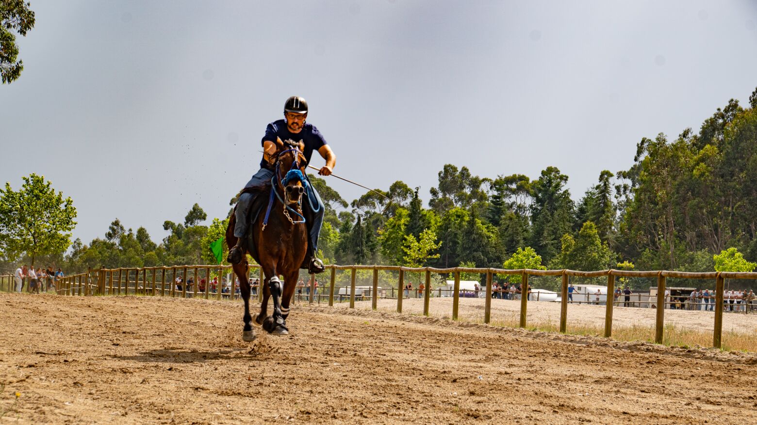 Hipódromo Municipal de Celorico de Basto recebe 31.ª Corrida de Cavalos a contar para o Campeonato Nacional