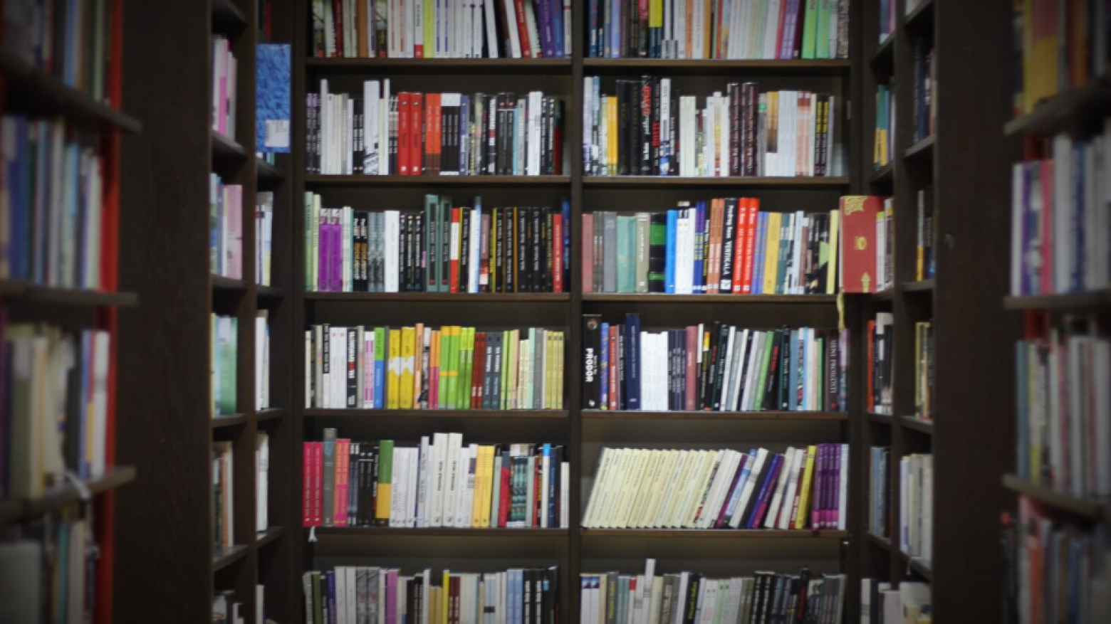 “Adopção de Livros”: Biblioteca Municipal António Mota lança nova iniciativa de leitura