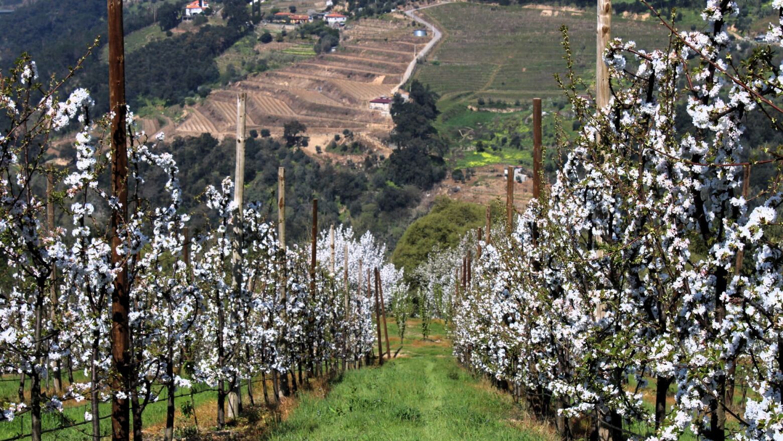 Resende conquista galard&atilde;o internacional de turismo sustent&aacute;vel "Green Destinations Silver Award"