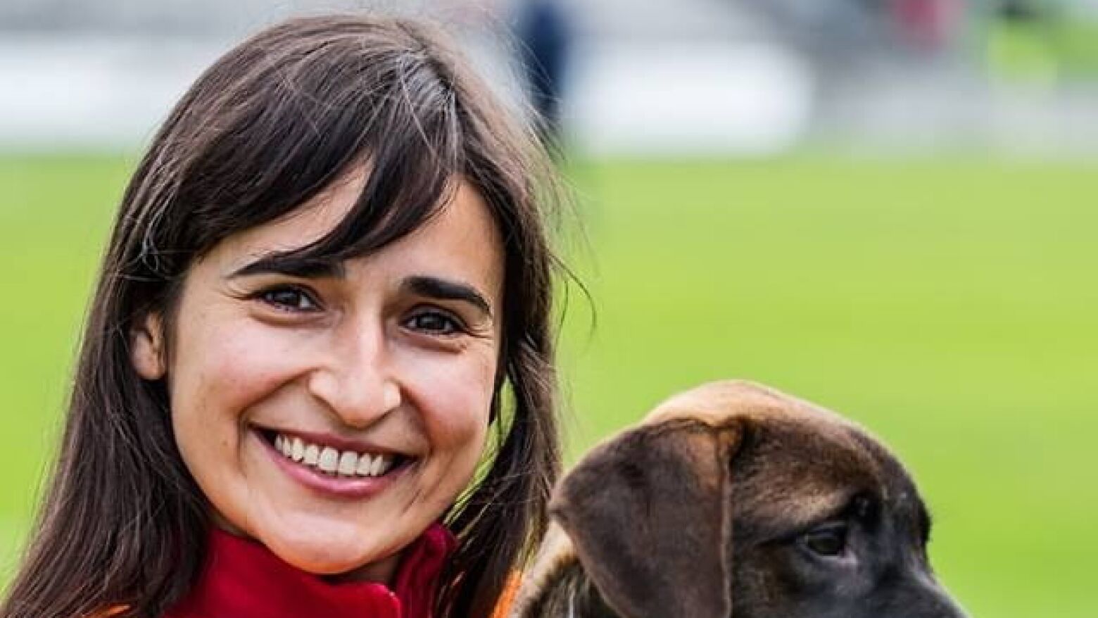 Dia do Animal de Estima&ccedil;&atilde;o: A dedica&ccedil;&atilde;o de Ana Teixeira em Amarante e o apelo urgente a "n&atilde;o comprar, mas adotar"