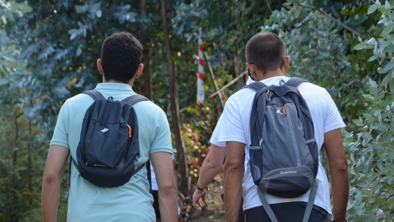 Gondomar apela &agrave; participa&ccedil;&atilde;o dos mun&iacute;cipes no question&aacute;rio nacional de Sa&uacute;de e Bem-Estar