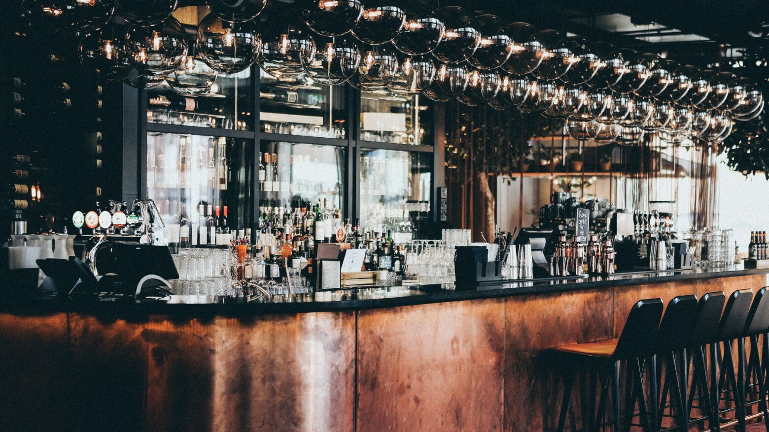 Festival "Pint of Science" regressa em maio para levar a ci&ecirc;ncia aos bares do Porto