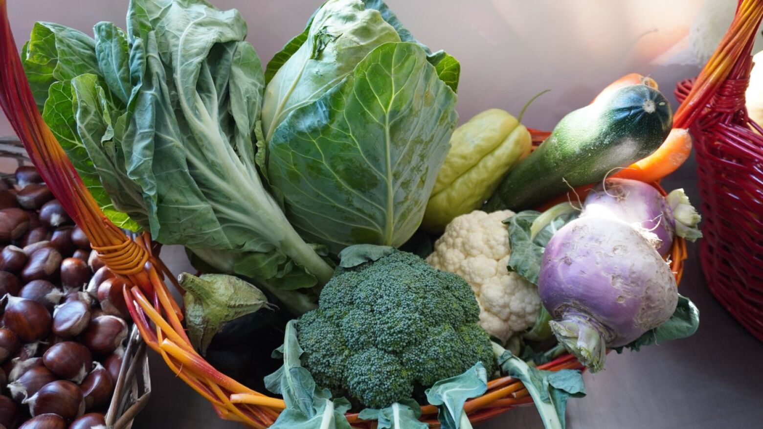 Feira da Terra celebra Dia da M&atilde;e com produtos locais e anima&ccedil;&atilde;o em Cinf&atilde;es