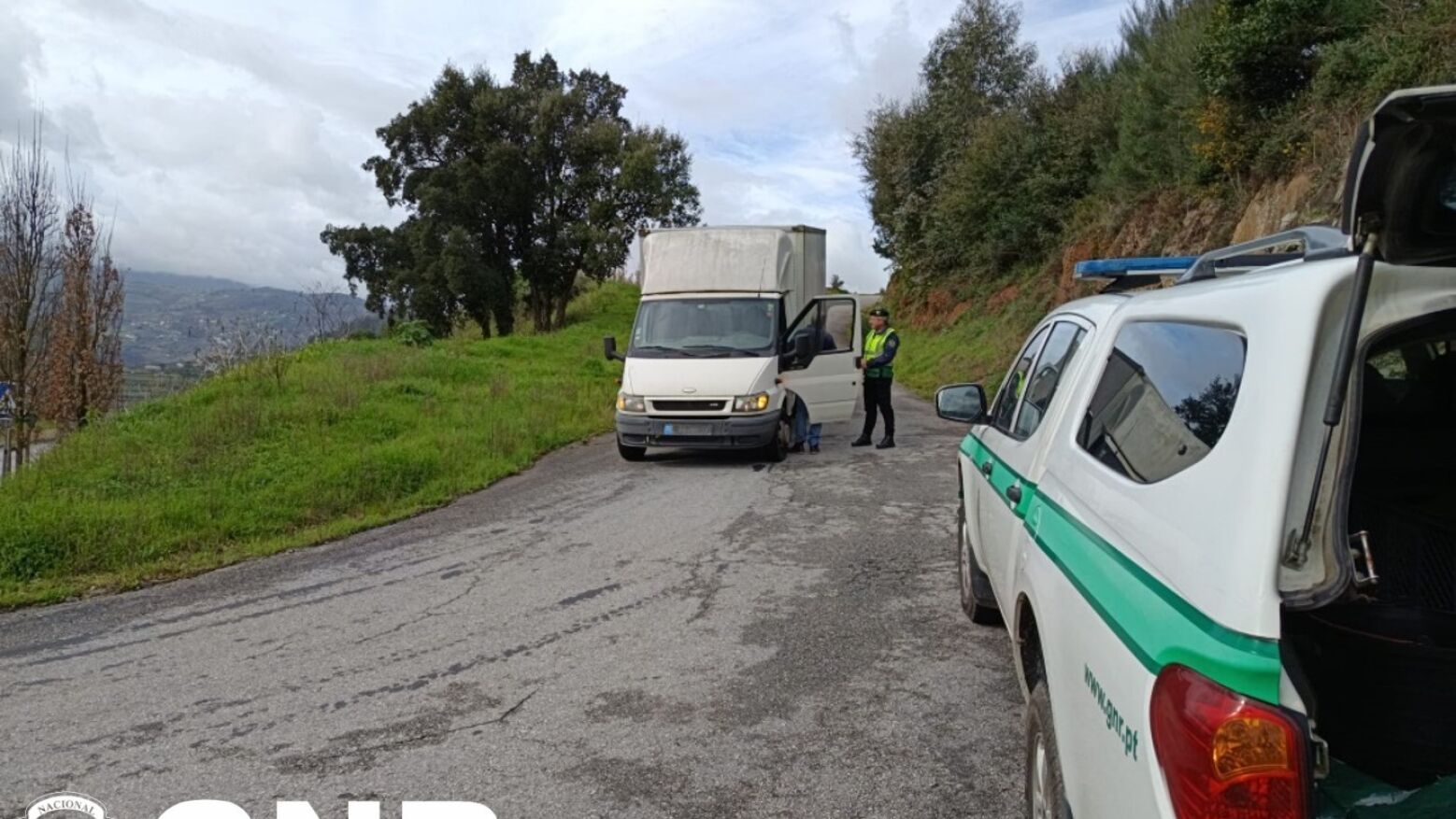 GNR fiscaliza transporte de animais vivos e deteta mais de 170 infrações em operação nacional