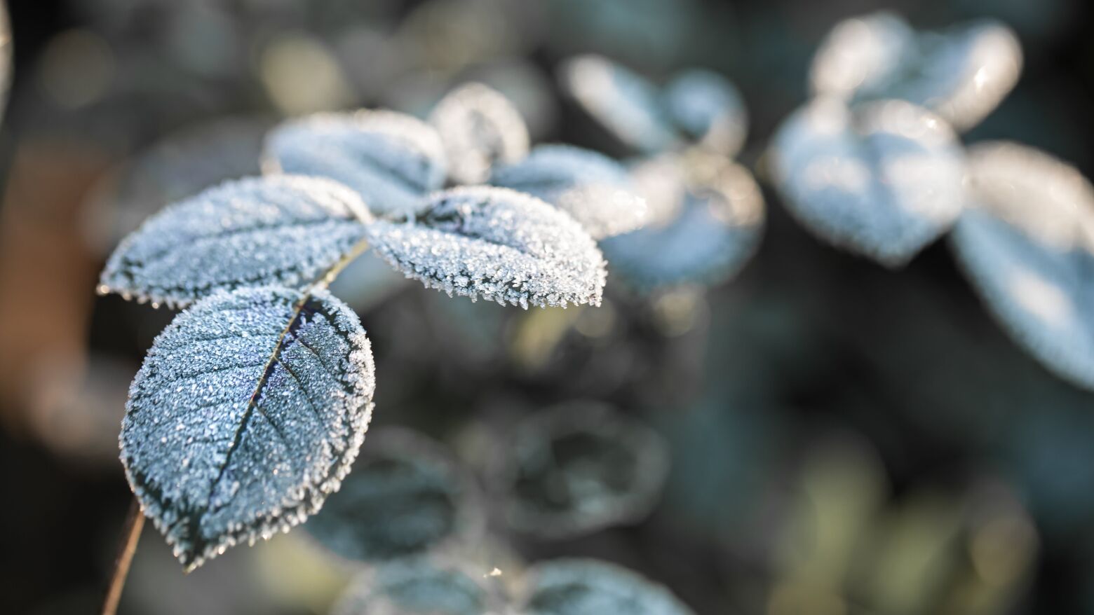 IPMA alarga aviso amarelo para frio a nove distritos e estende alerta at&eacute; quarta-feira