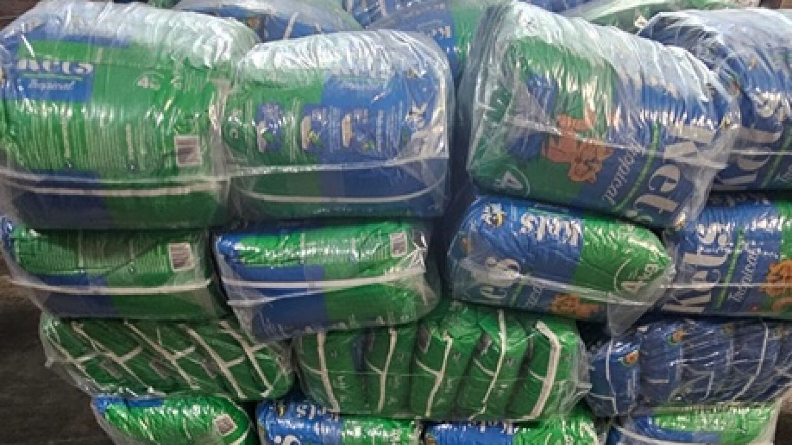 PJ apreende cocaína em areia para gatos ligada a empresa de Gondomar