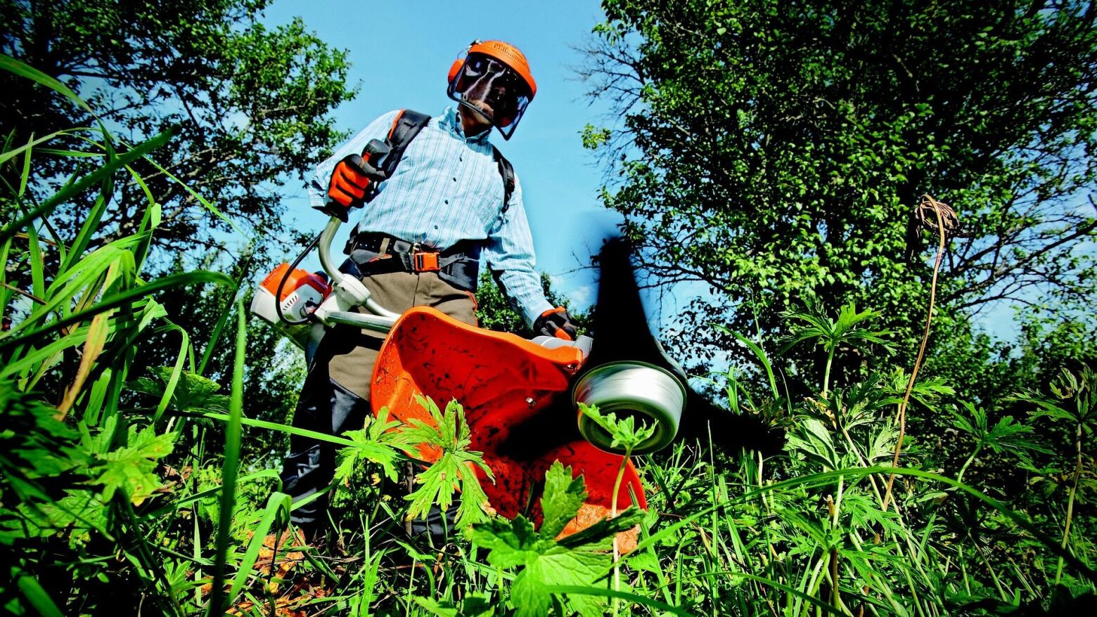 Prazo para limpeza de terrenos e corte de vegetação prorrogado até 31 de maio