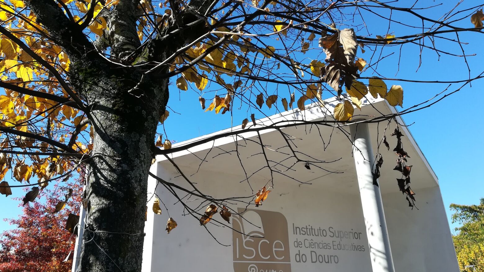 ISCE Douro promove III Ciclo de Conferências e Práticas “Desporto e Saúde para Todos”