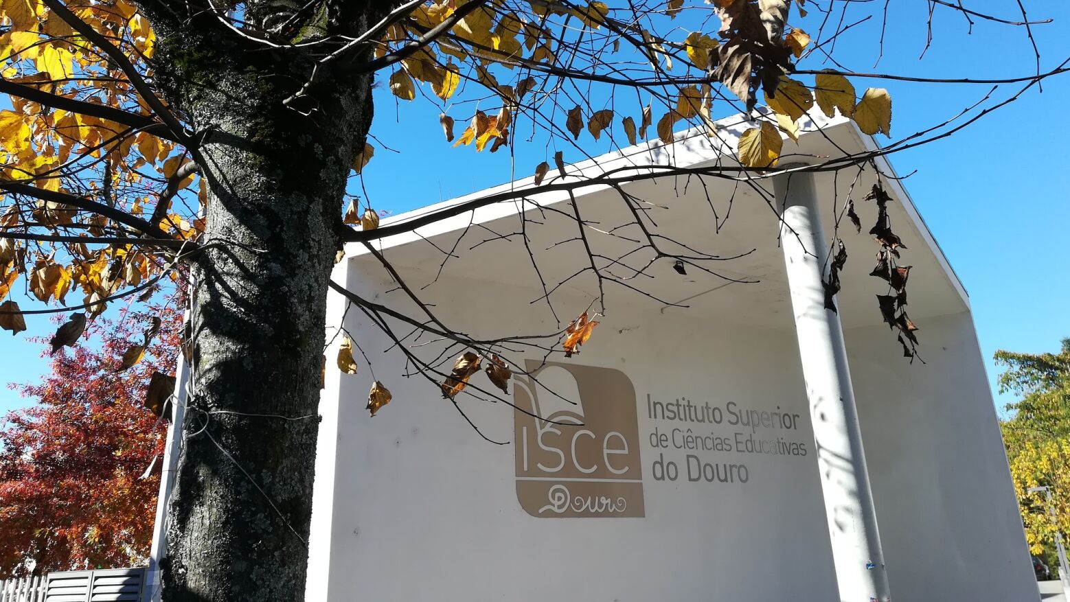 ISCE Douro com candidaturas abertas para maiores de 23 anos até 19 de maio