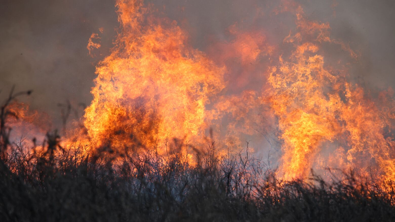 Celorico de Basto: Homem cumprir&aacute; tr&ecirc;s anos e meio de pris&atilde;o por inc&ecirc;ndio florestal