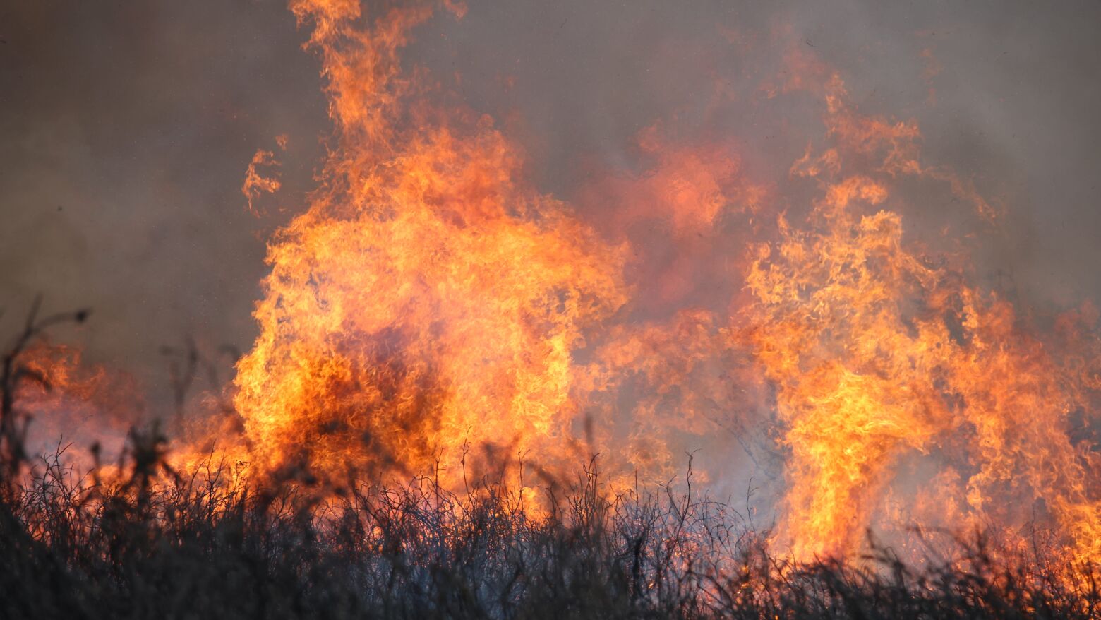 Governo cria Comando Integrado de Prevenção e Operações para reduzir risco extraordinário de incêndio