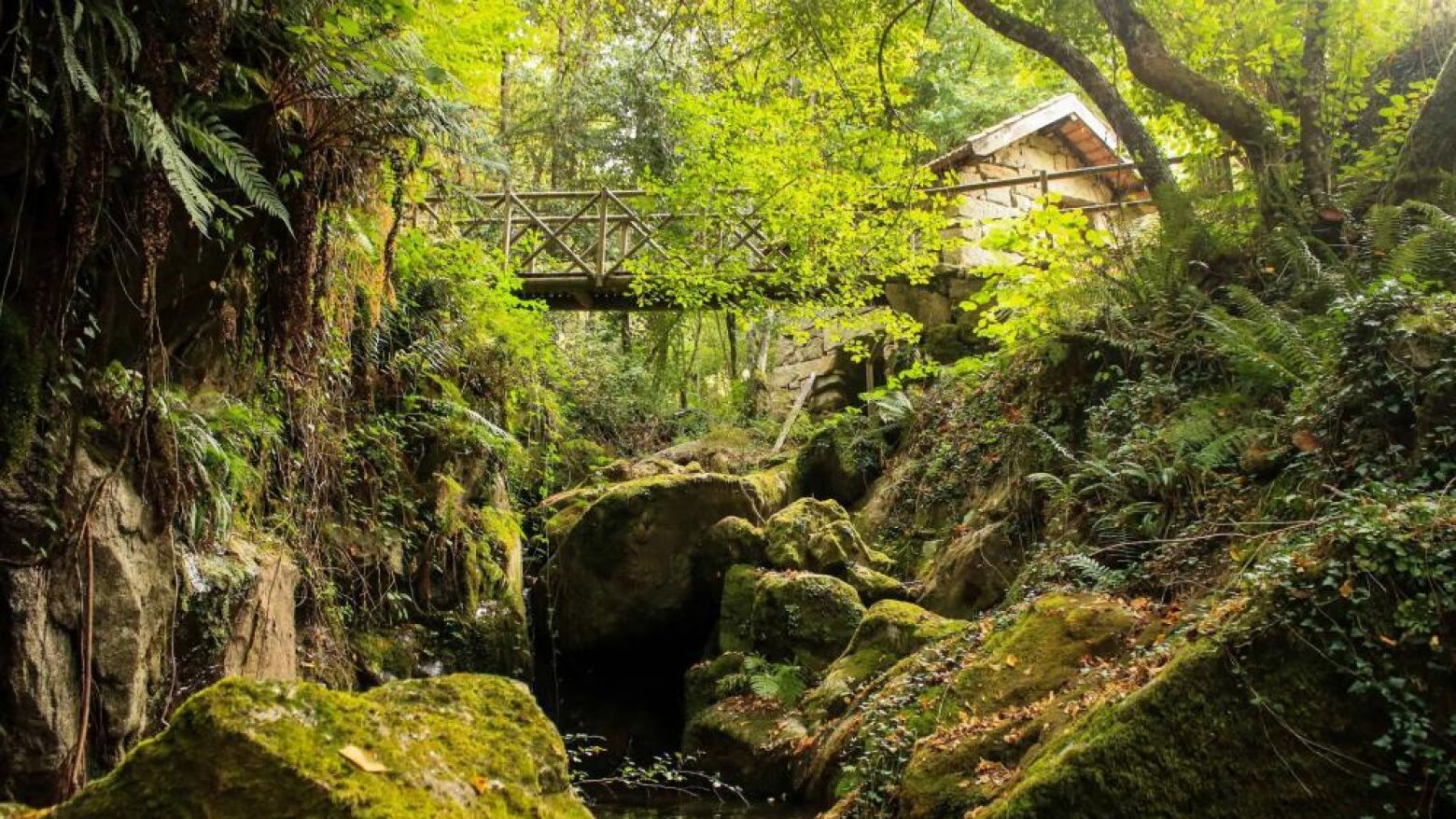 Dia Nacional dos Moinhos Abertos: Moinho das Travessas em Tendais abre portas ao público