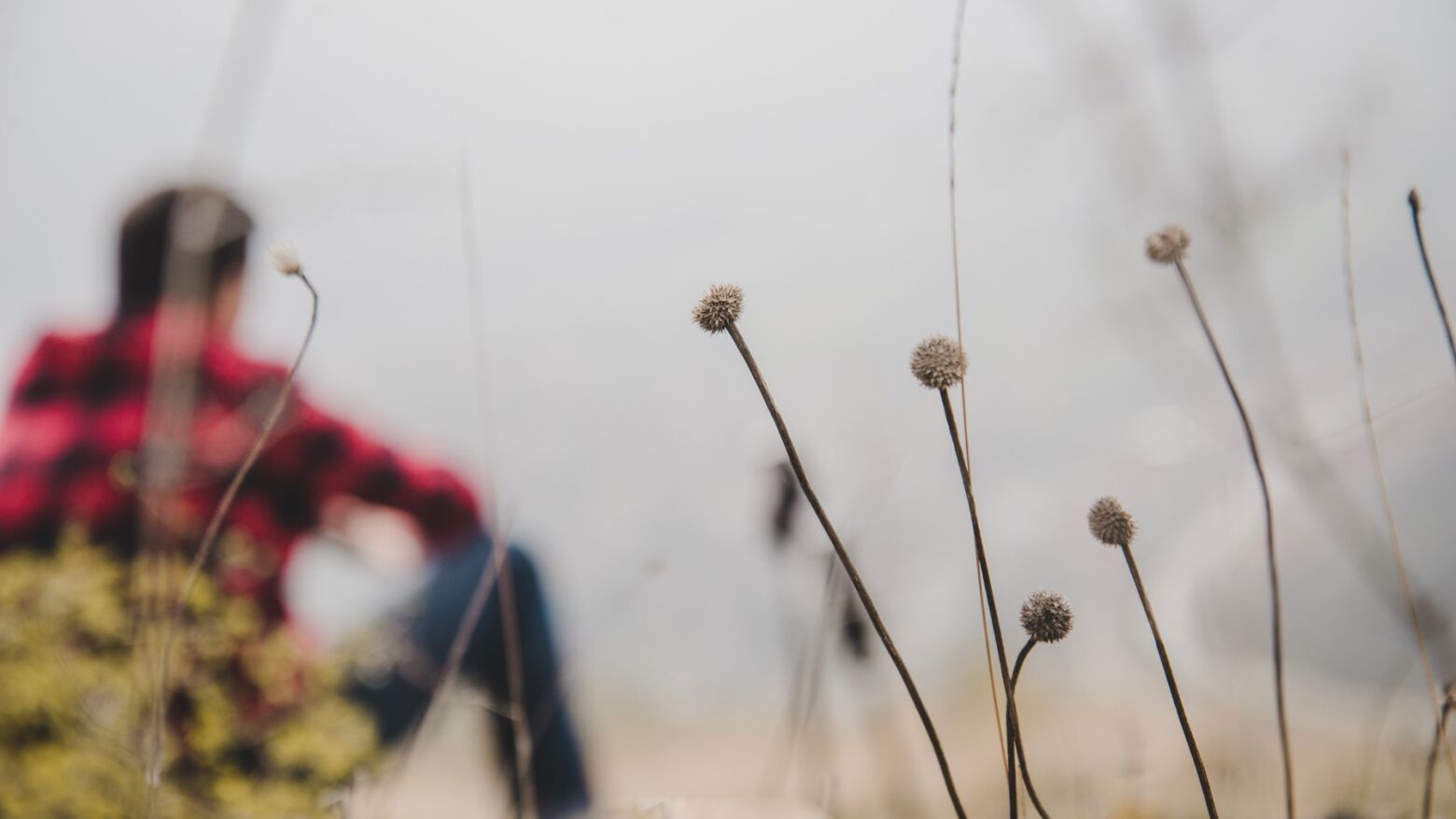 T&acirc;mega e Sousa: Previs&atilde;o aponta para noites mais frias e vento forte nas terras altas