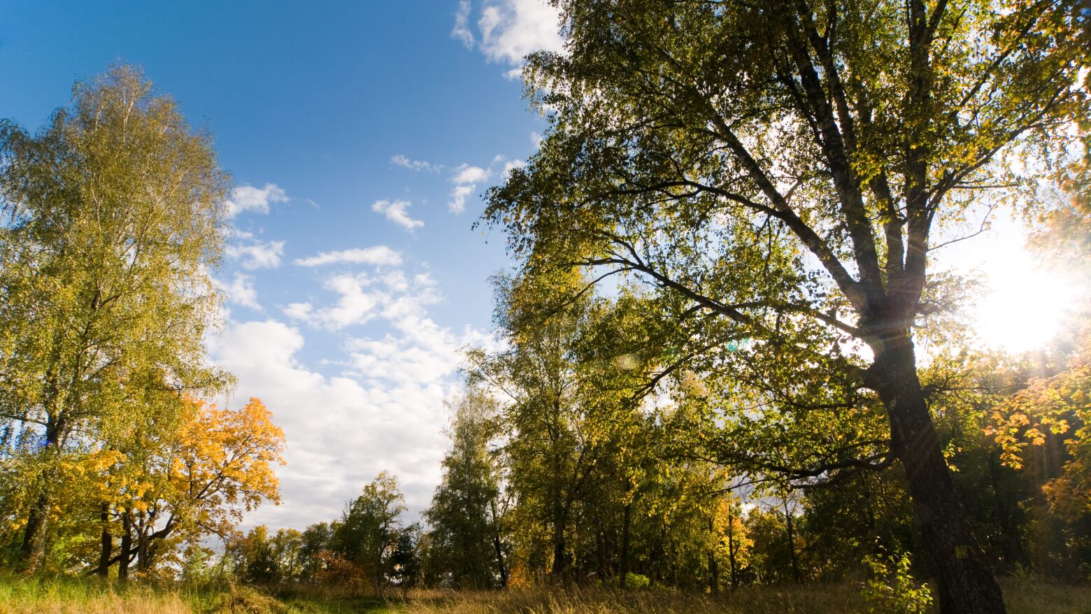 Quarta-feira de sol no Grande Porto mas vento forte a marcar a tarde