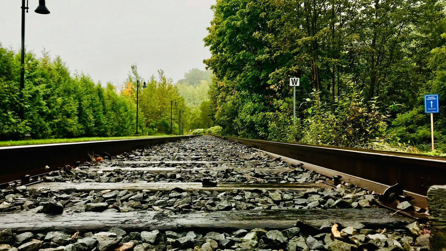 Valongo: Mulher morre atropelada por comboio em Suzão
