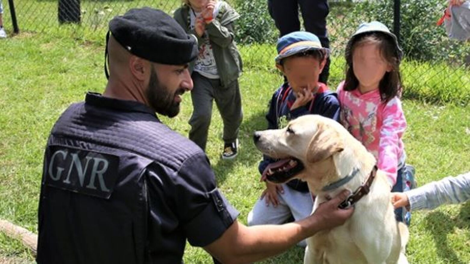 GNR assinala o Dia Mundial do Cão destacando os binómios cinotécnicos