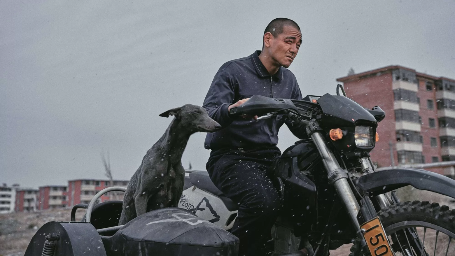Cineclube de Amarante vai exibir o drama chinês "Cão Preto"