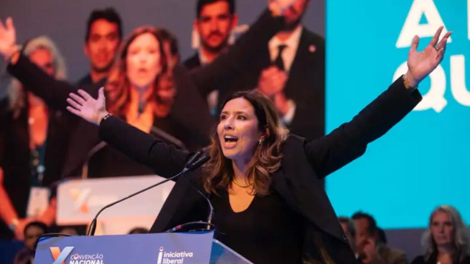 Iniciativa Liberal quer que lei dos estrangeiros entre em vigor “o mais depressa possível”