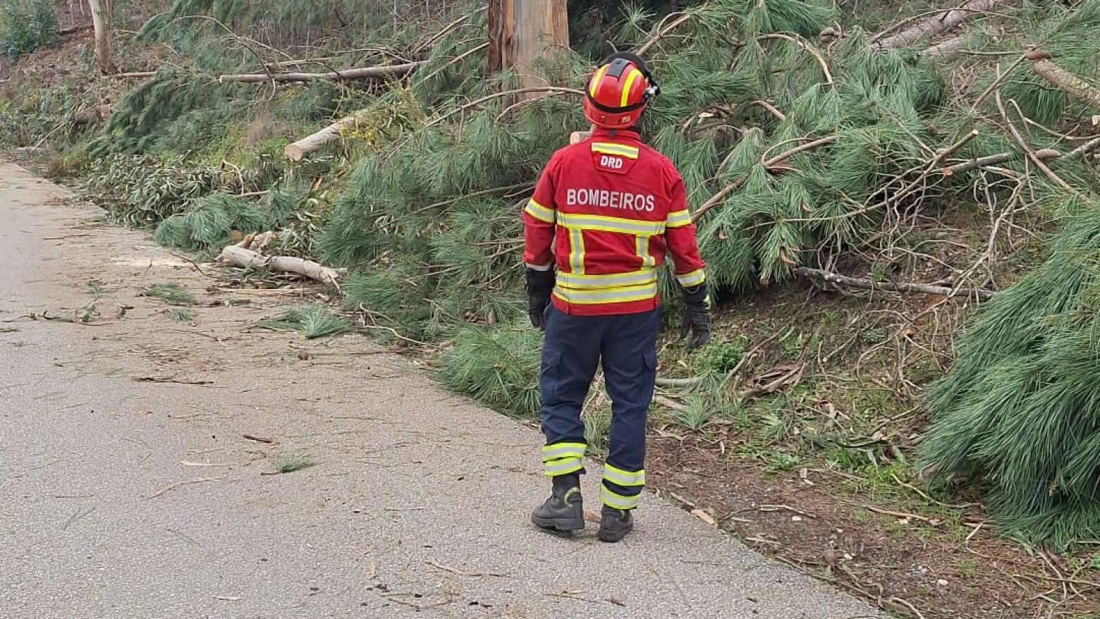 Sindicato exige demissão de comandante dos bombeiros de Areosa/Rio Tinto; Marco Martins alega "perseguição política"