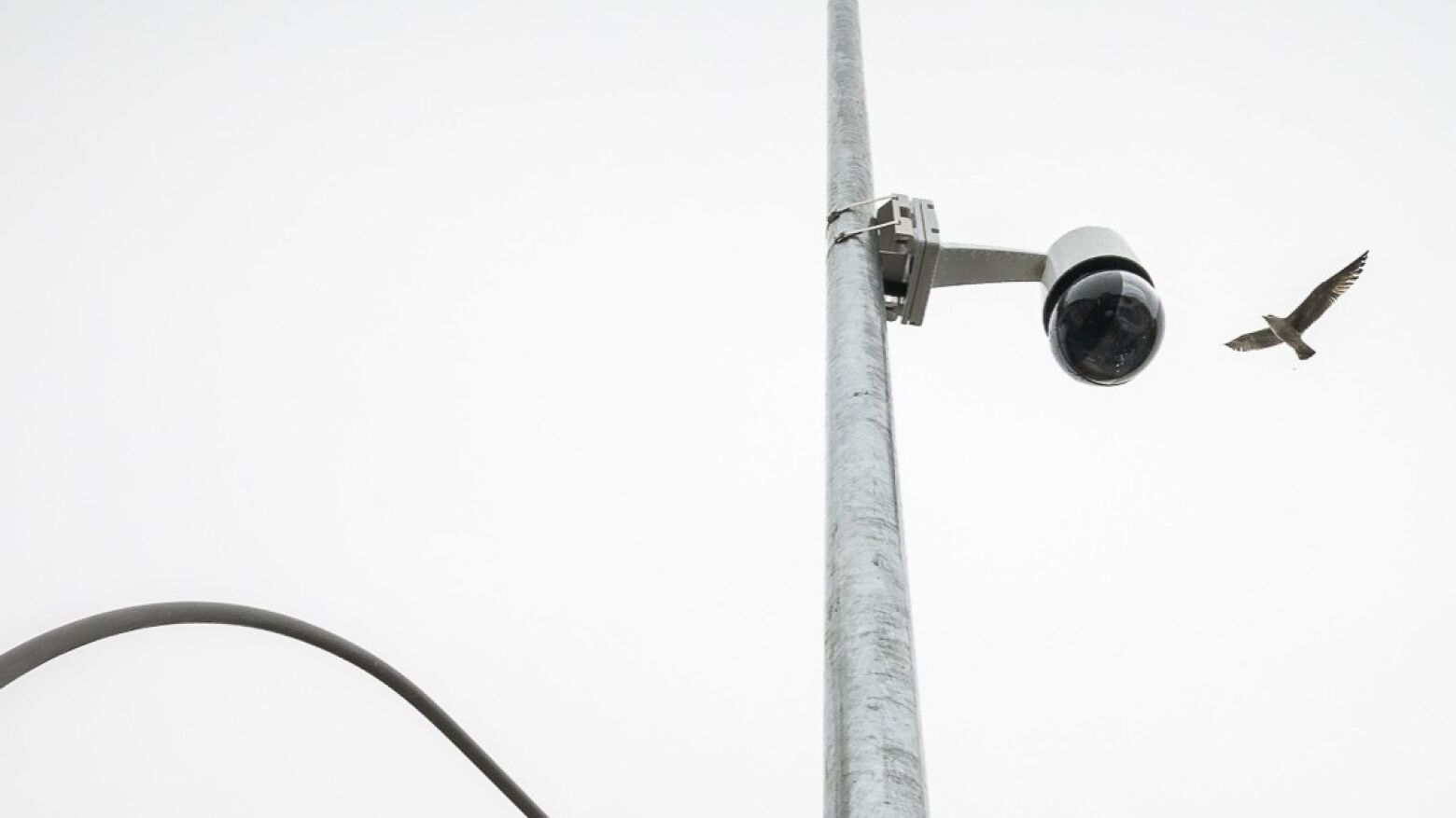 Porto: Ladr&atilde;o de viaturas apanhado pela videovigil&acirc;ncia na Baixa fica em pris&atilde;o preventiva