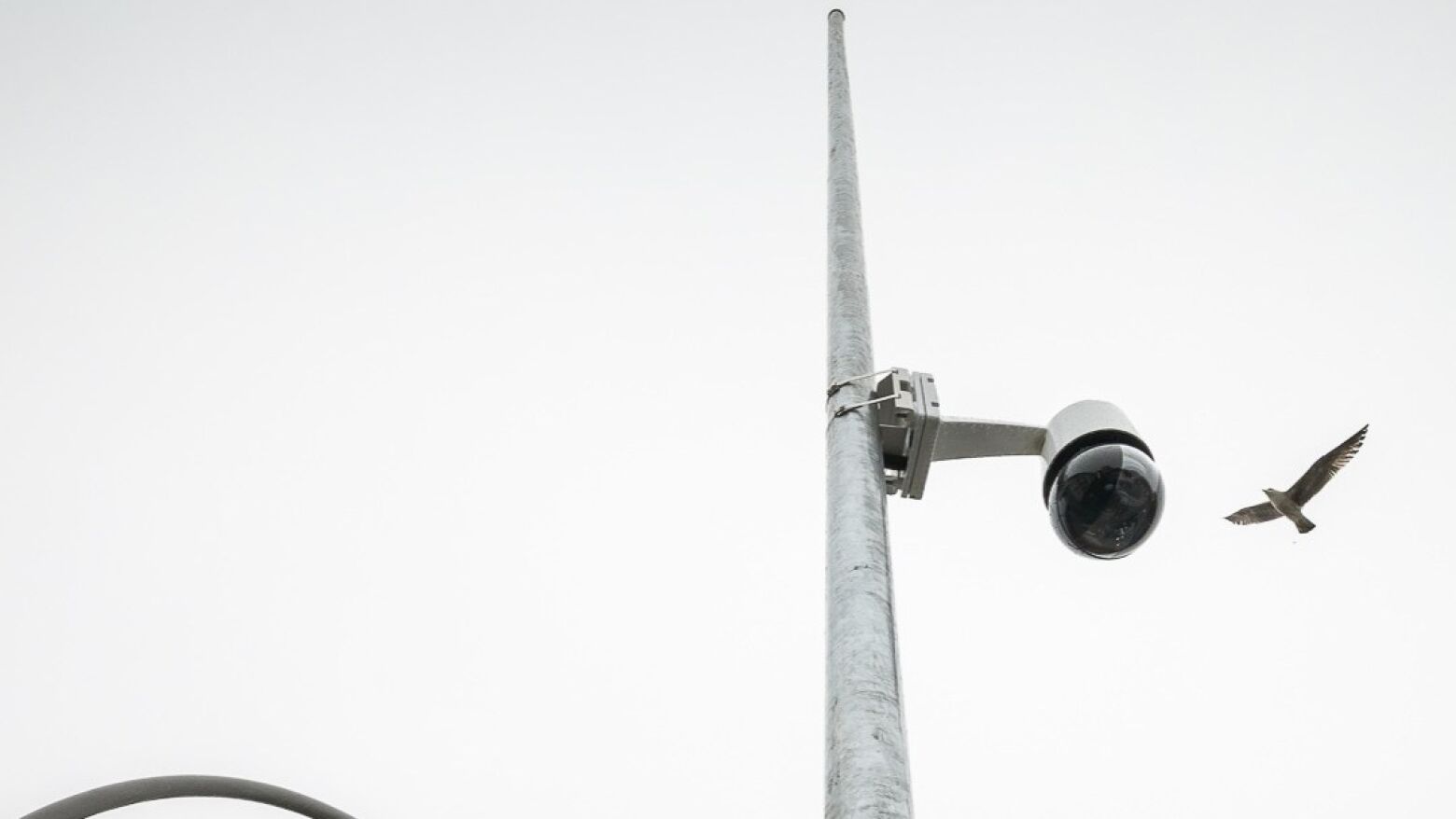 Porto ativa 117 novas c&acirc;maras de videovigil&acirc;ncia para refor&ccedil;ar seguran&ccedil;a na cidade