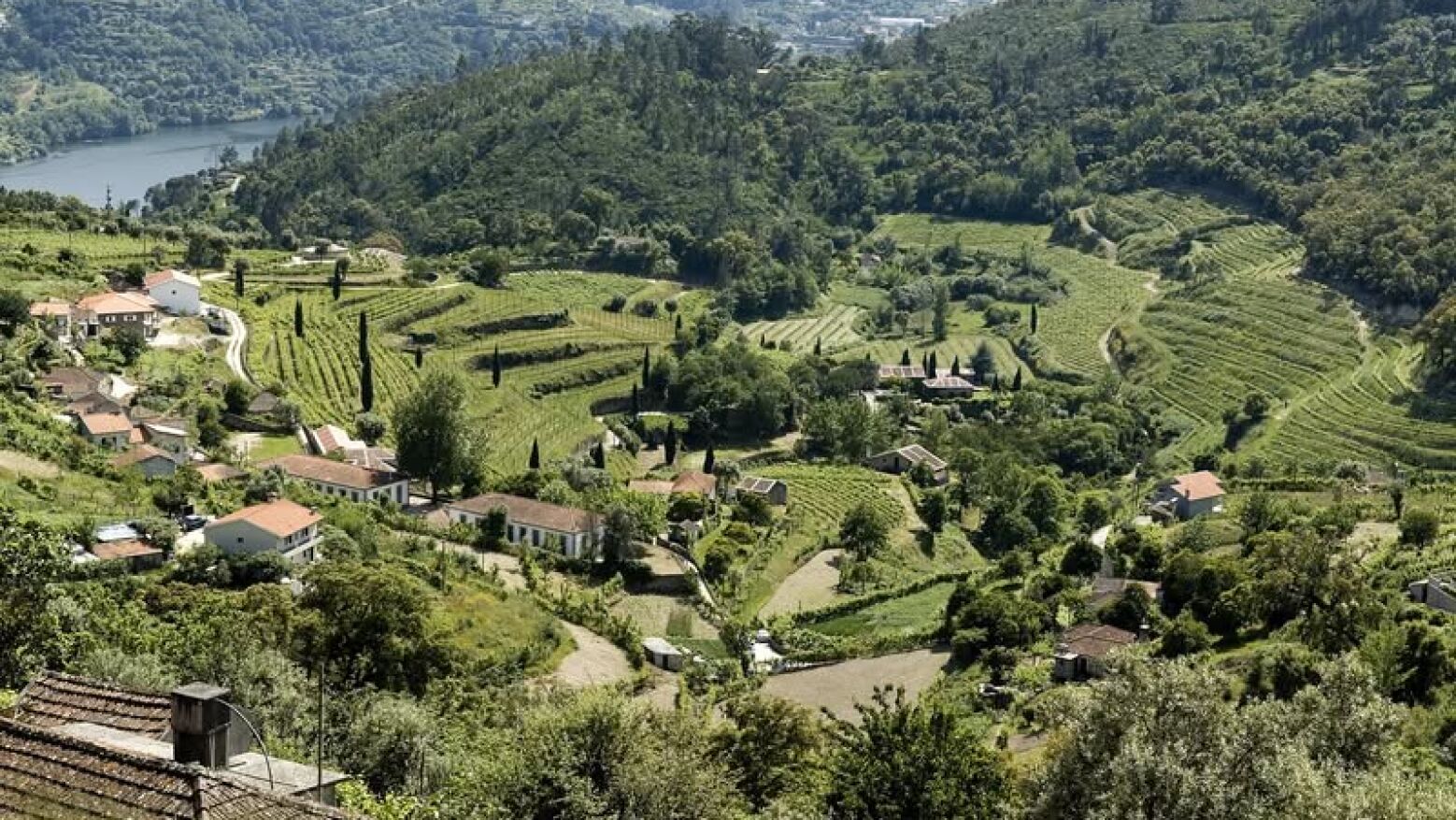 Aberto concurso do Programa Floresta Ativa com 4 milhões de euros para pequenas propriedades
