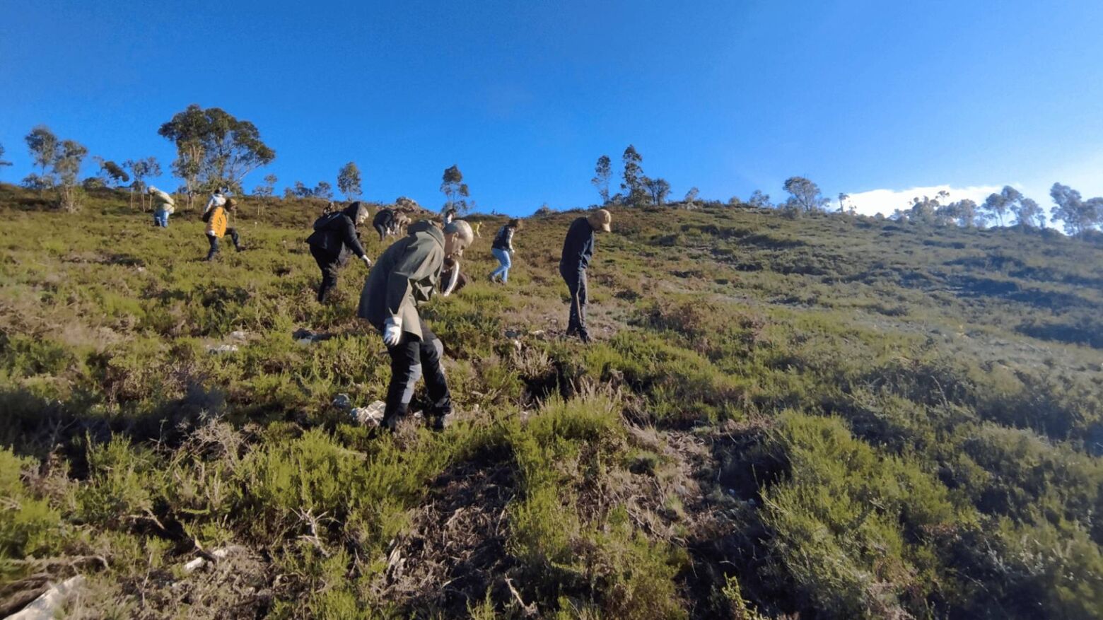 Munic&iacute;pio de Paredes vai Reflorestar 146 hectares com esp&eacute;cies aut&oacute;ctones at&eacute; 2027