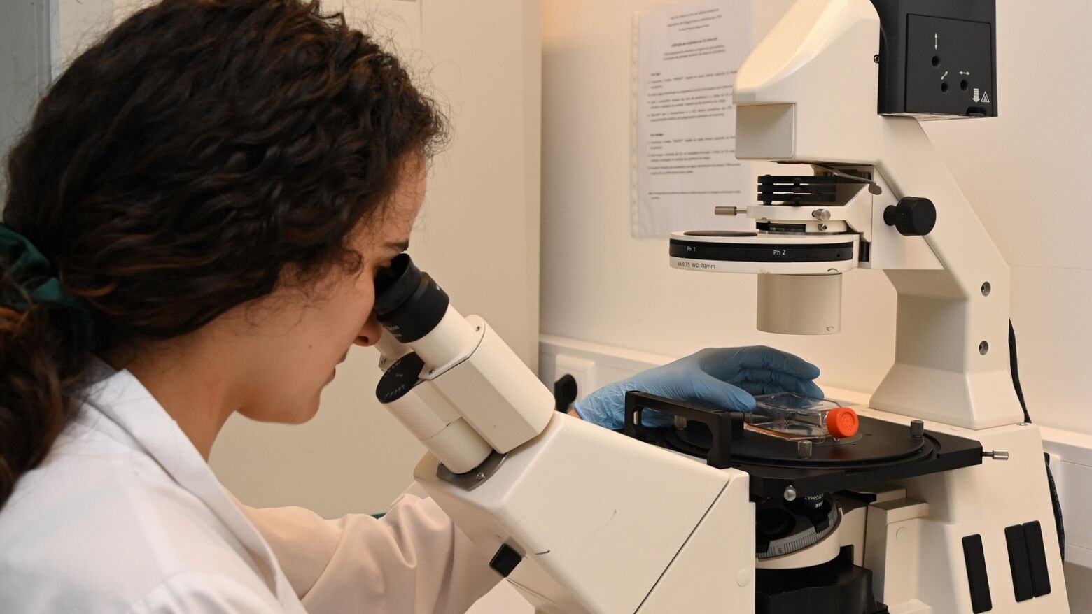 UTAD e UFP garantem acredita&ccedil;&atilde;o m&aacute;xima para Doutoramento em Ci&ecirc;ncias Biom&eacute;dicas