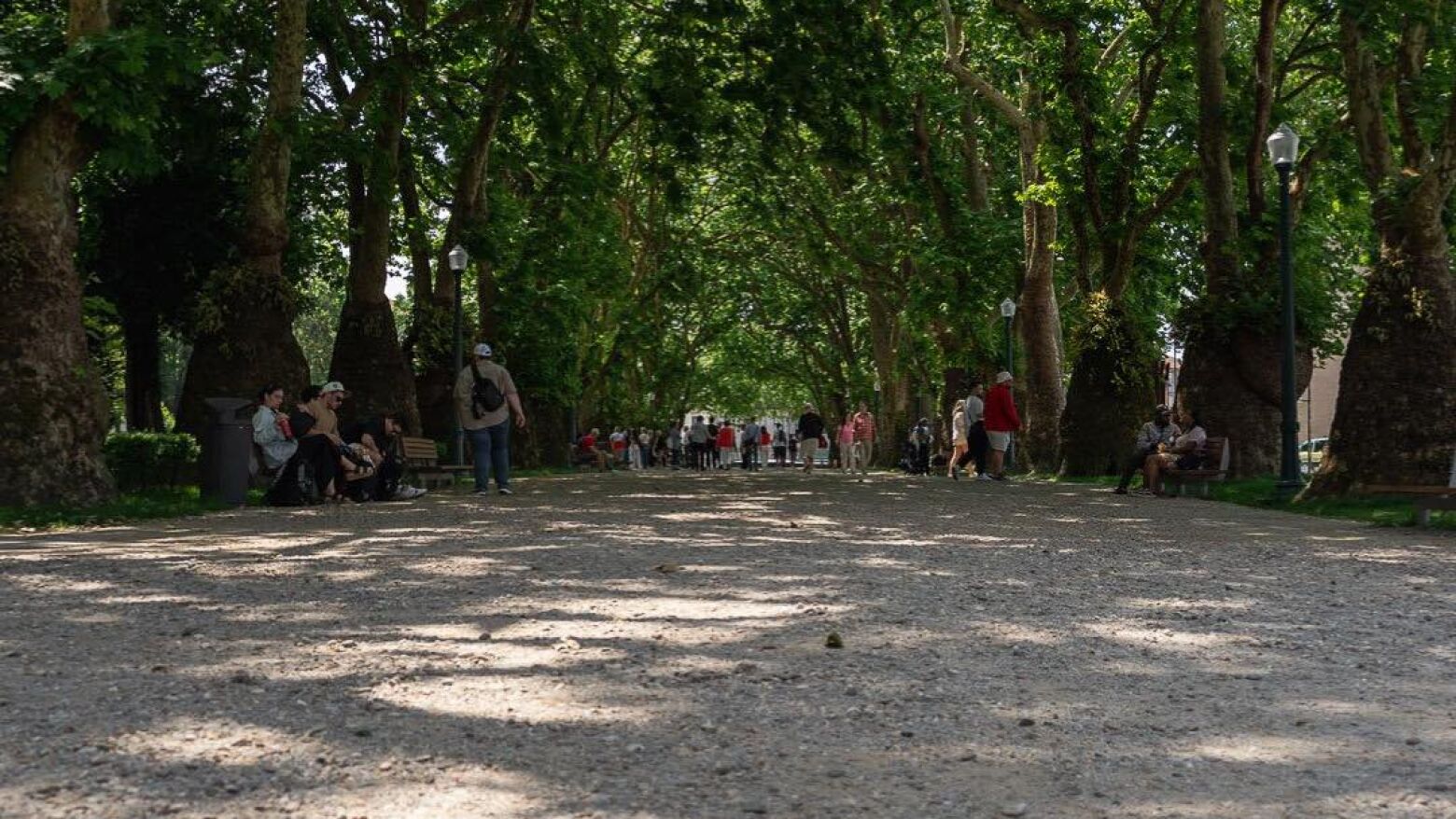 Porto: Jardim da Cordoaria vai entrar em nova fase de requalificação