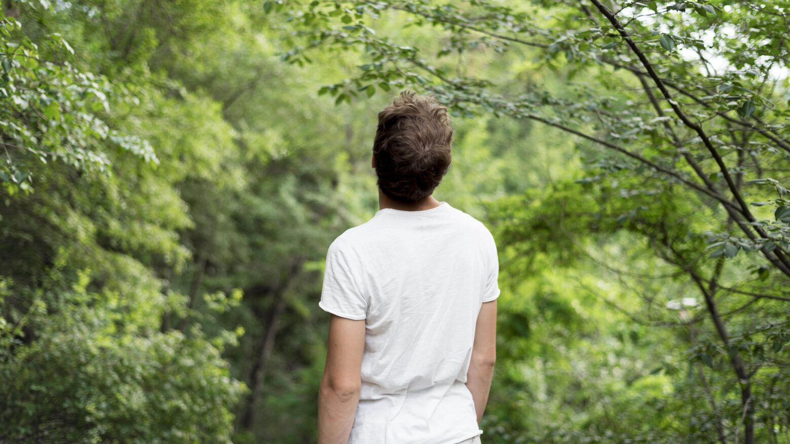 Penafiel abre inscrições para o Voluntariado Jovem para a Natureza e Florestas